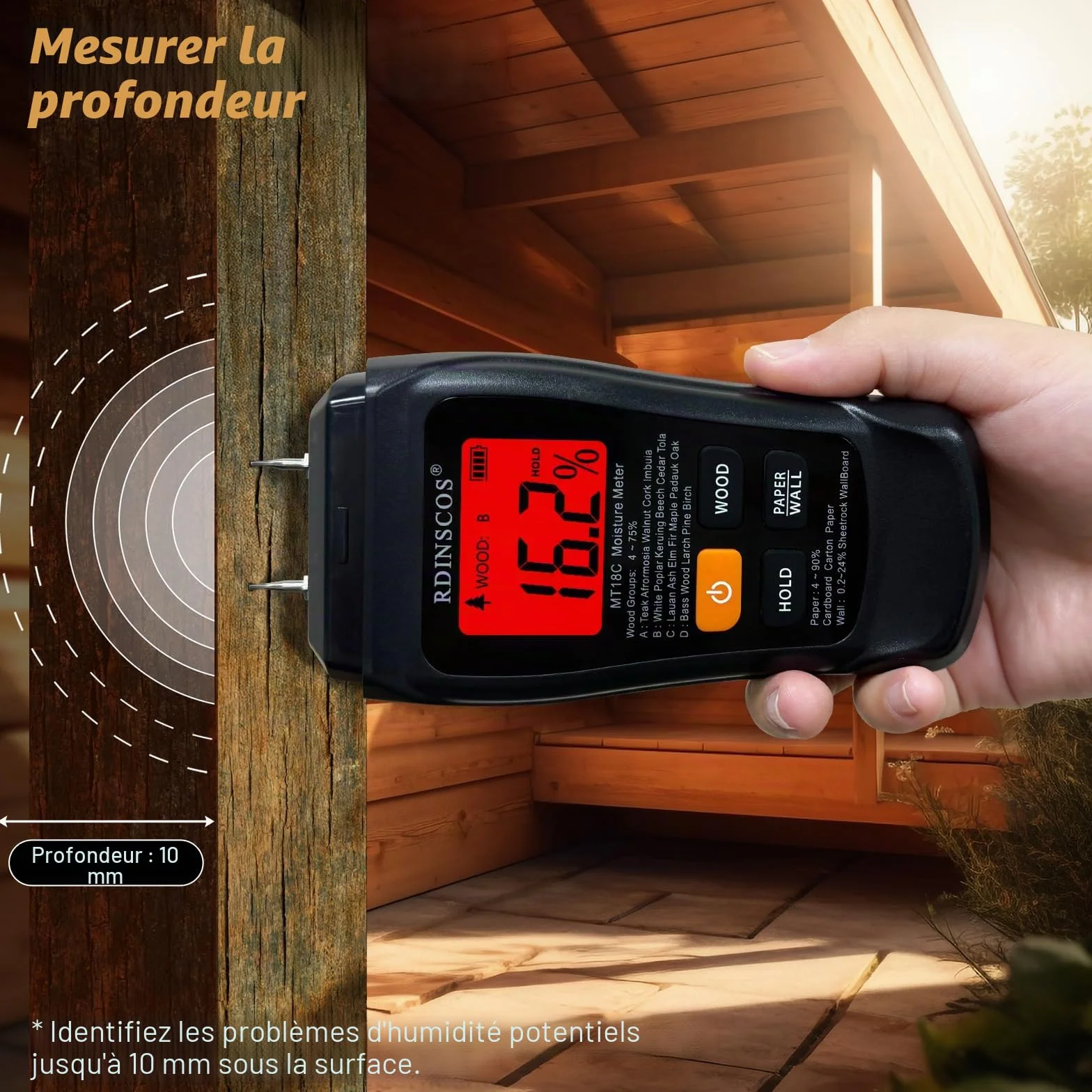 RDINSCOS Détecteur d'Humidité Hygromètre Professionnel avec Alarme Analyse Profondeur 0-10 mm pour Mur Bois Plâtre Maçonnerie
