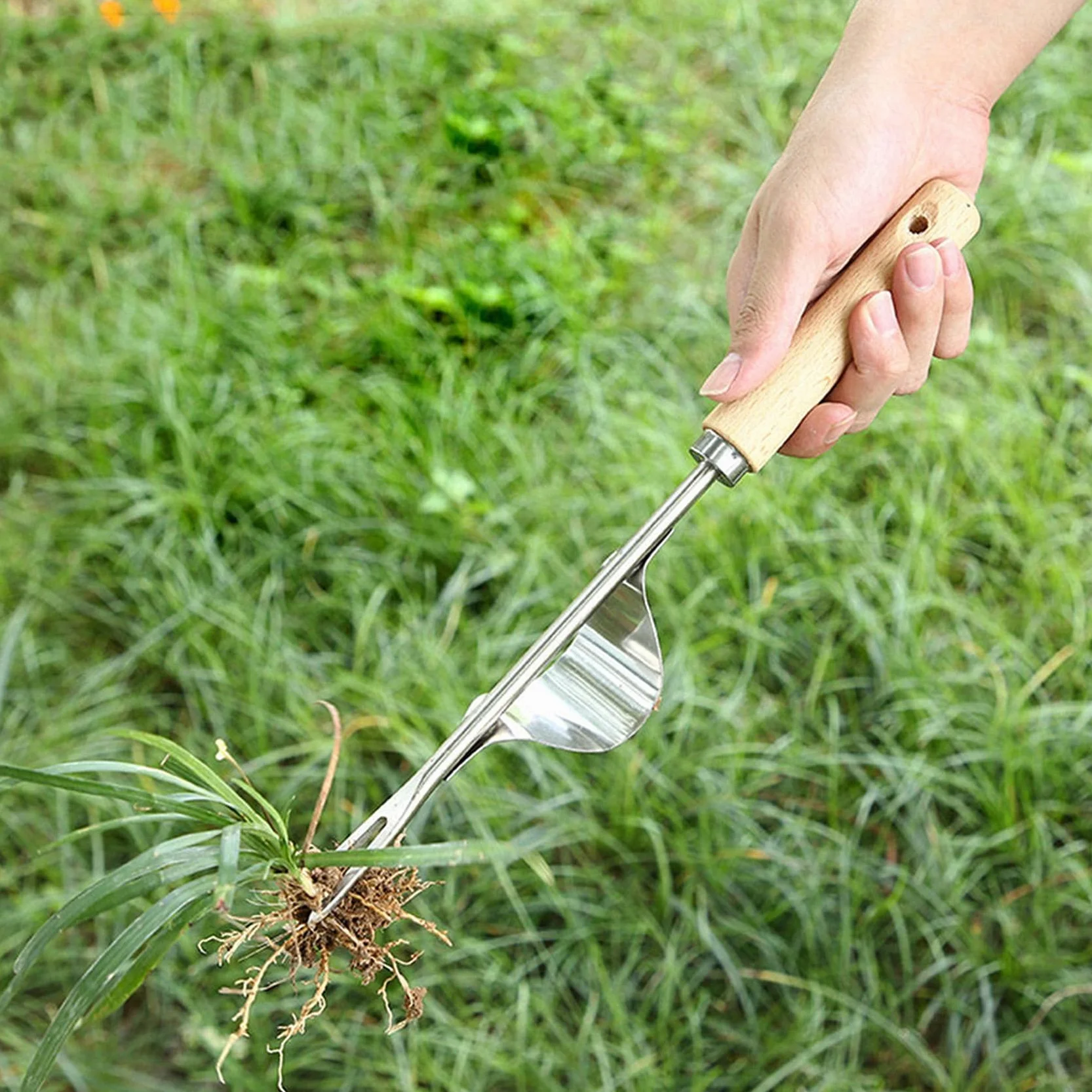 ISTOVO Désherbeur de Jardin en Acier Inoxydable Manche en Bois 2X Extracteur de Pissenlit