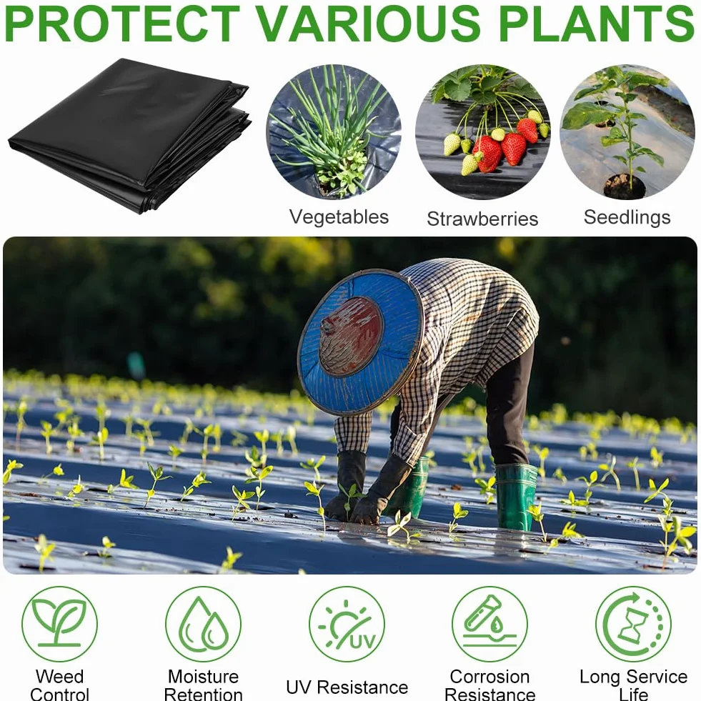 2MX3M Bâche en Polyéthylène Noir, Bâche pour Serre Noir en Polyéthylène, Résistant Couverture de Polytunnel, Membrane Horticol pour Jardinage, Isolation des Bâtiments et Tapis de Sol(80Mu/580G)
