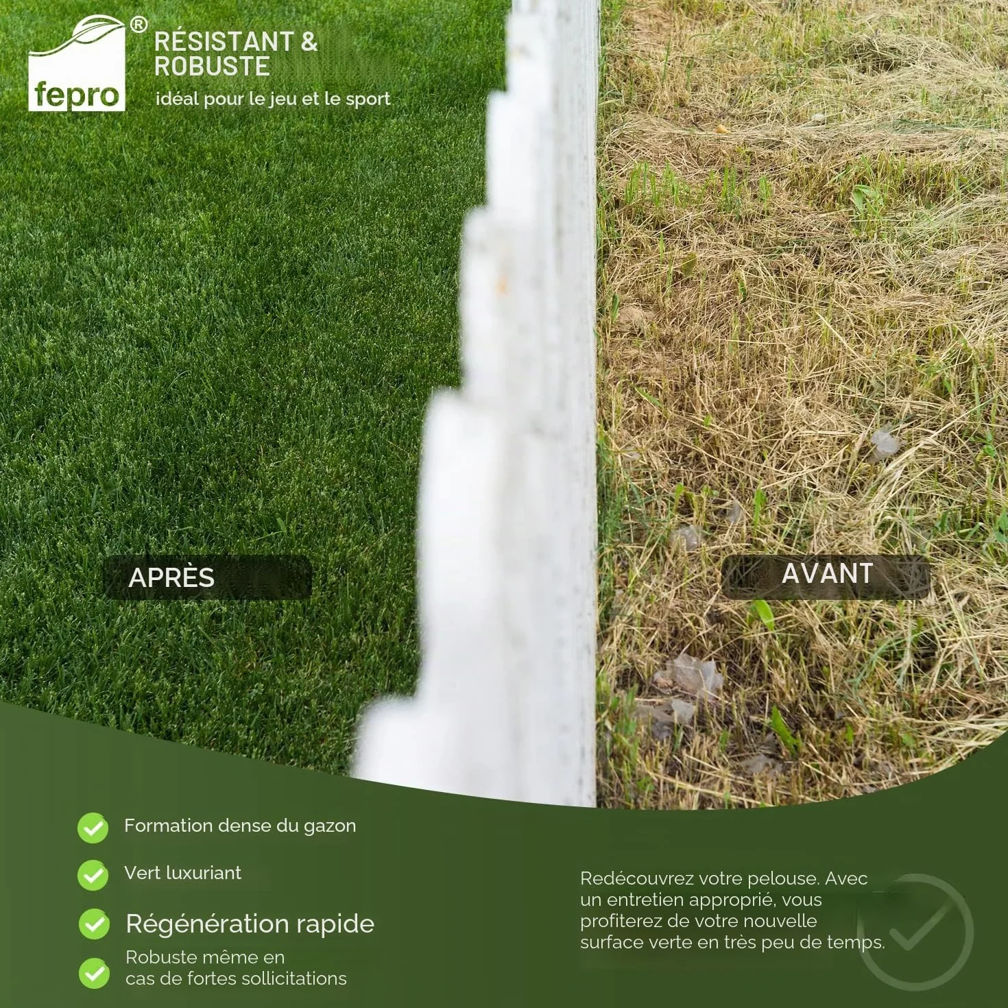Graines pour pelouses sportives 10 kg 400 m² vert foncé robustes printemps