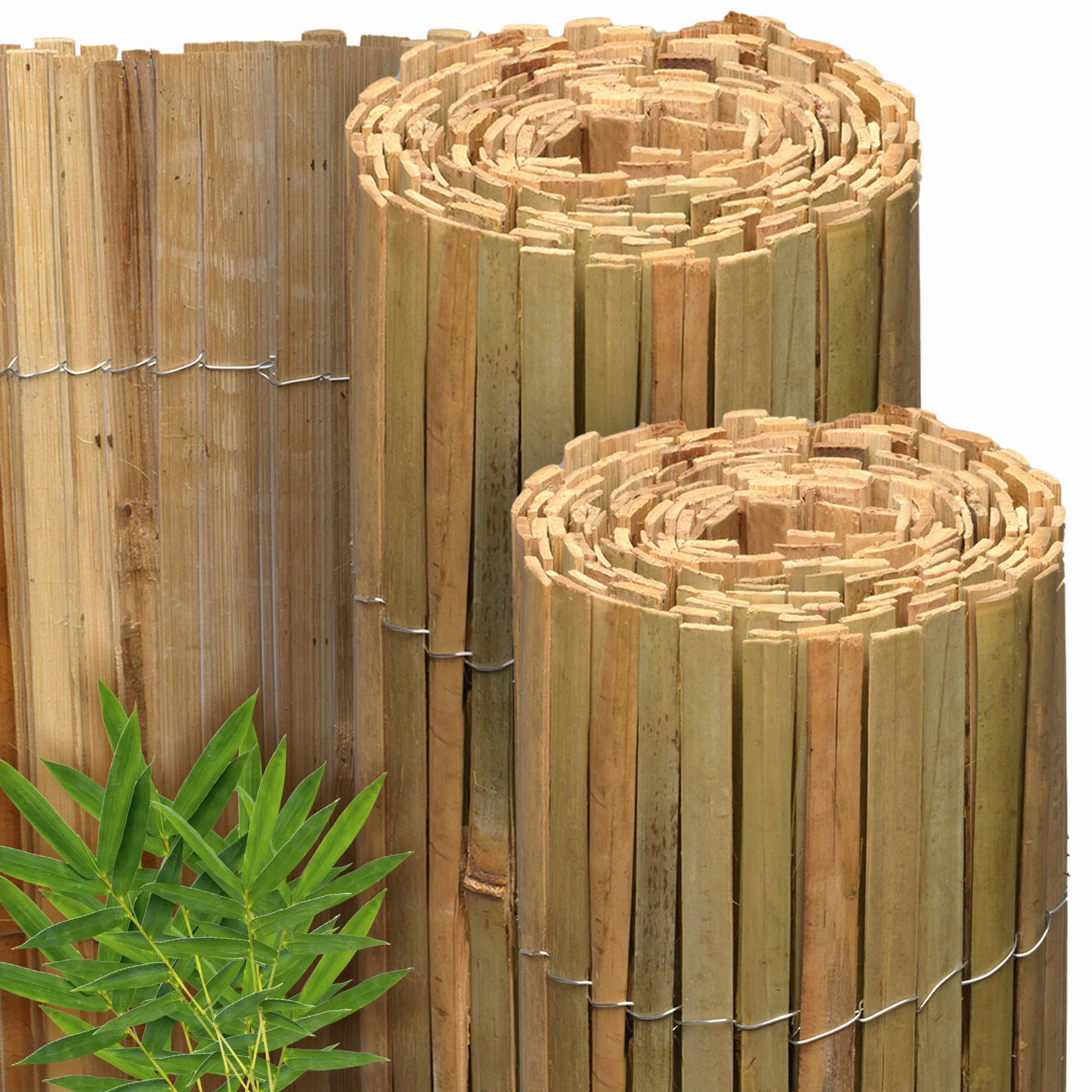Sol Royal SolVision B89 Canisse Bambou 160x600cm FSC Brise Vue Jardin Protection Regards Vent Soleil