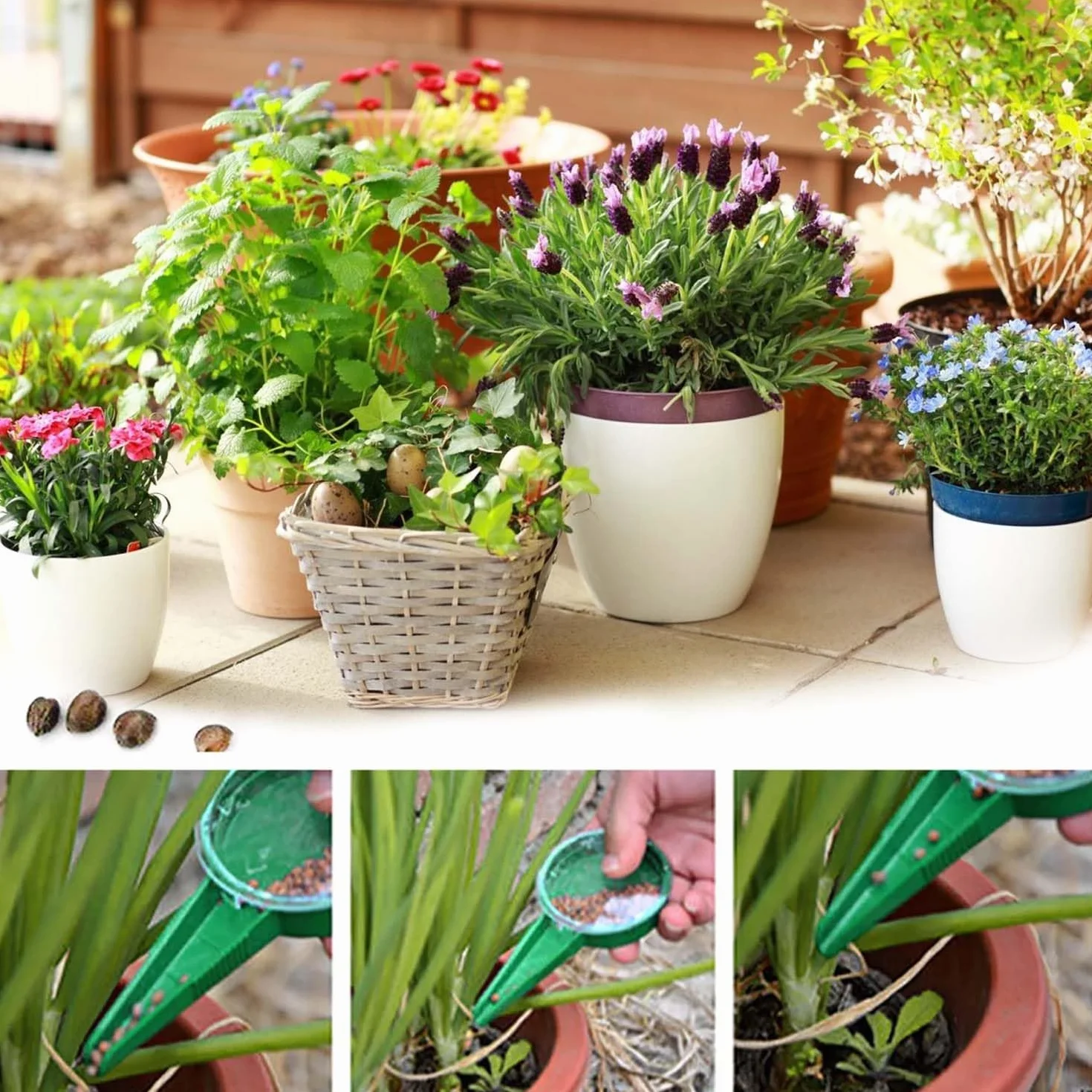 2 Pièces Distributeur de Graines, Distributeur de Graines de Plantes de Jardin, Distributeur de Graines de Pot de Fleur, pour Semer Facilement des Fleurs et des Légumes du Jardin