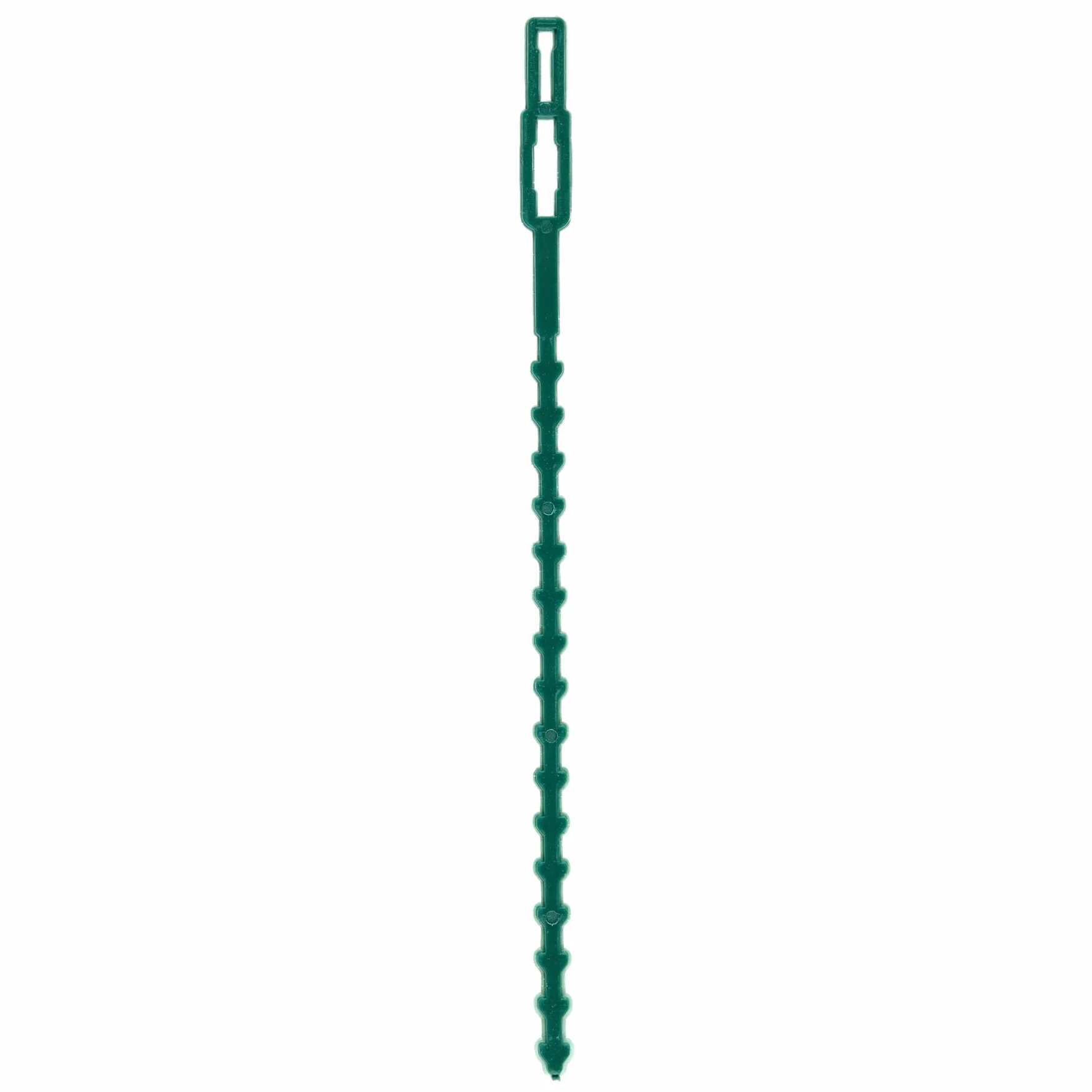 Flandria 50 Attaches Plantes Réglables 23cm – Liens Réutilisables pour Plantes et Potager - Attache Tuteur Vert