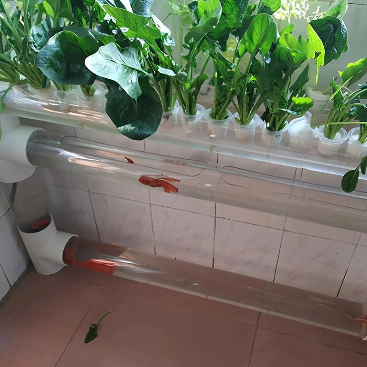 Tubes Ronds Acrylique Transparent 100 mm Diamètre Extérieur 94 mm Intérieur 200 mm Longueur pour Lampe