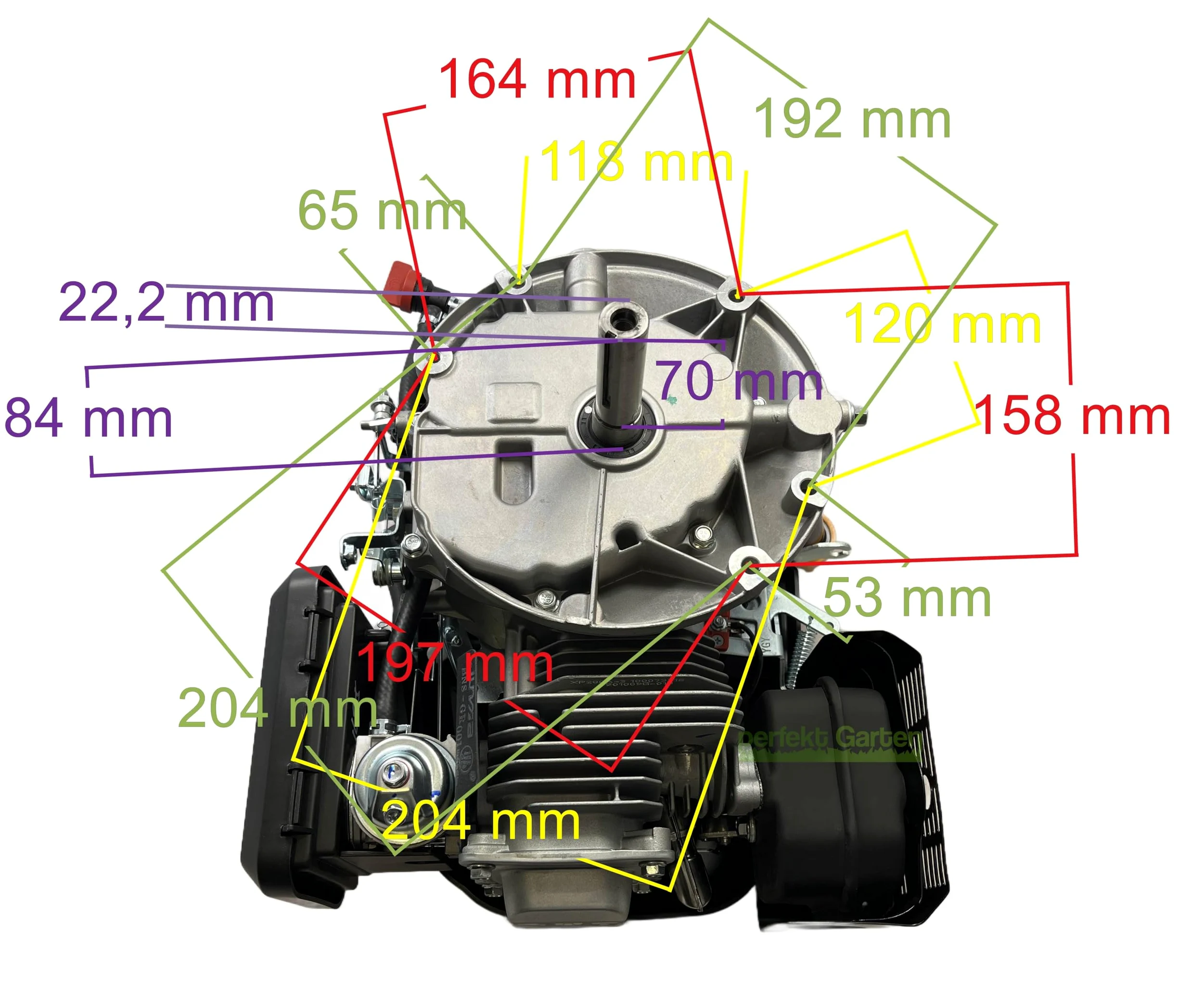 6,5 PS Zongshen XP200A 196cc Démarreur tondeuse à gazon Moteur 22,2 mm/80 mm + huile