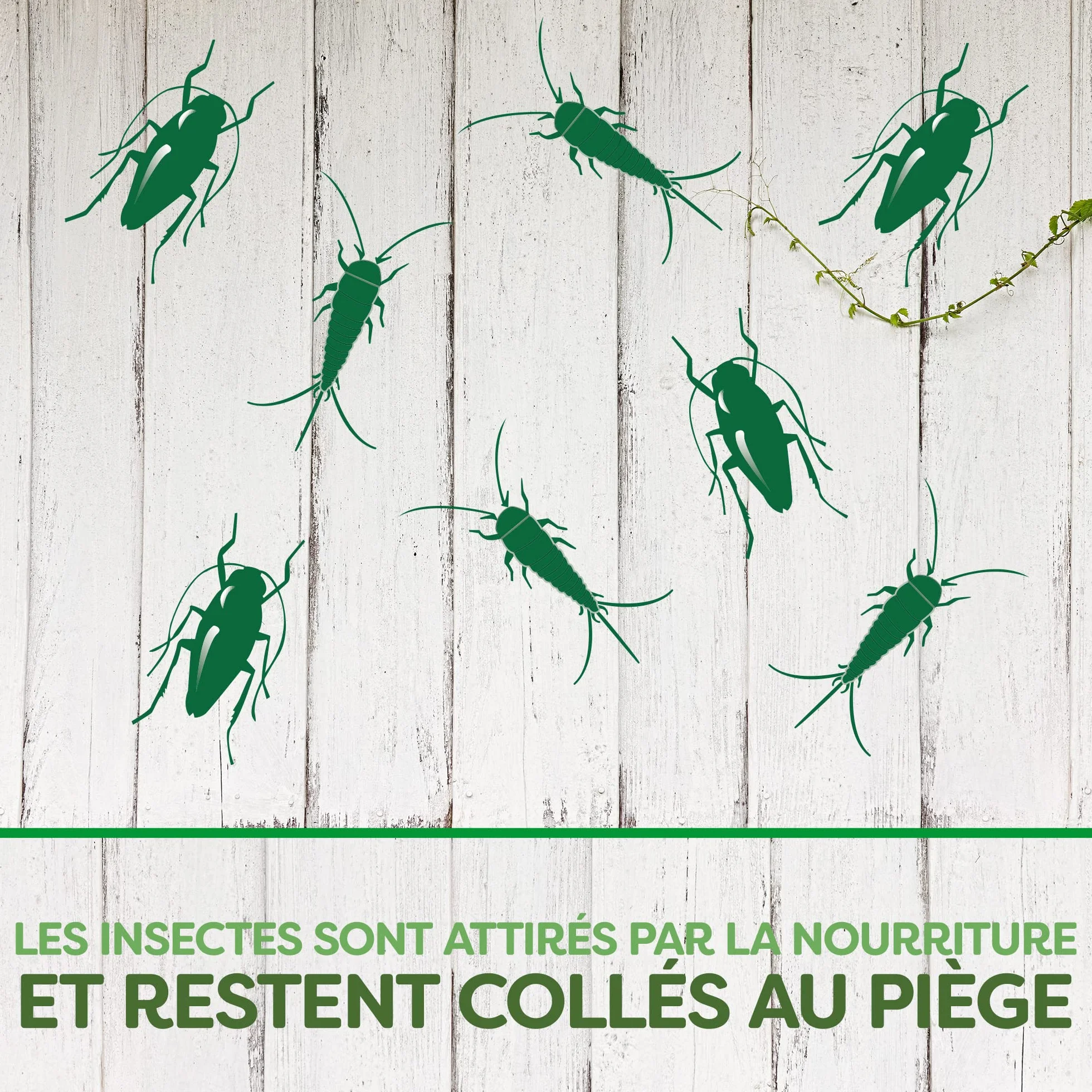PYREL PIÈGE CAFARDS ET POISSONS D'ARGENT SANS INSECTICIDES 5 Pièges
