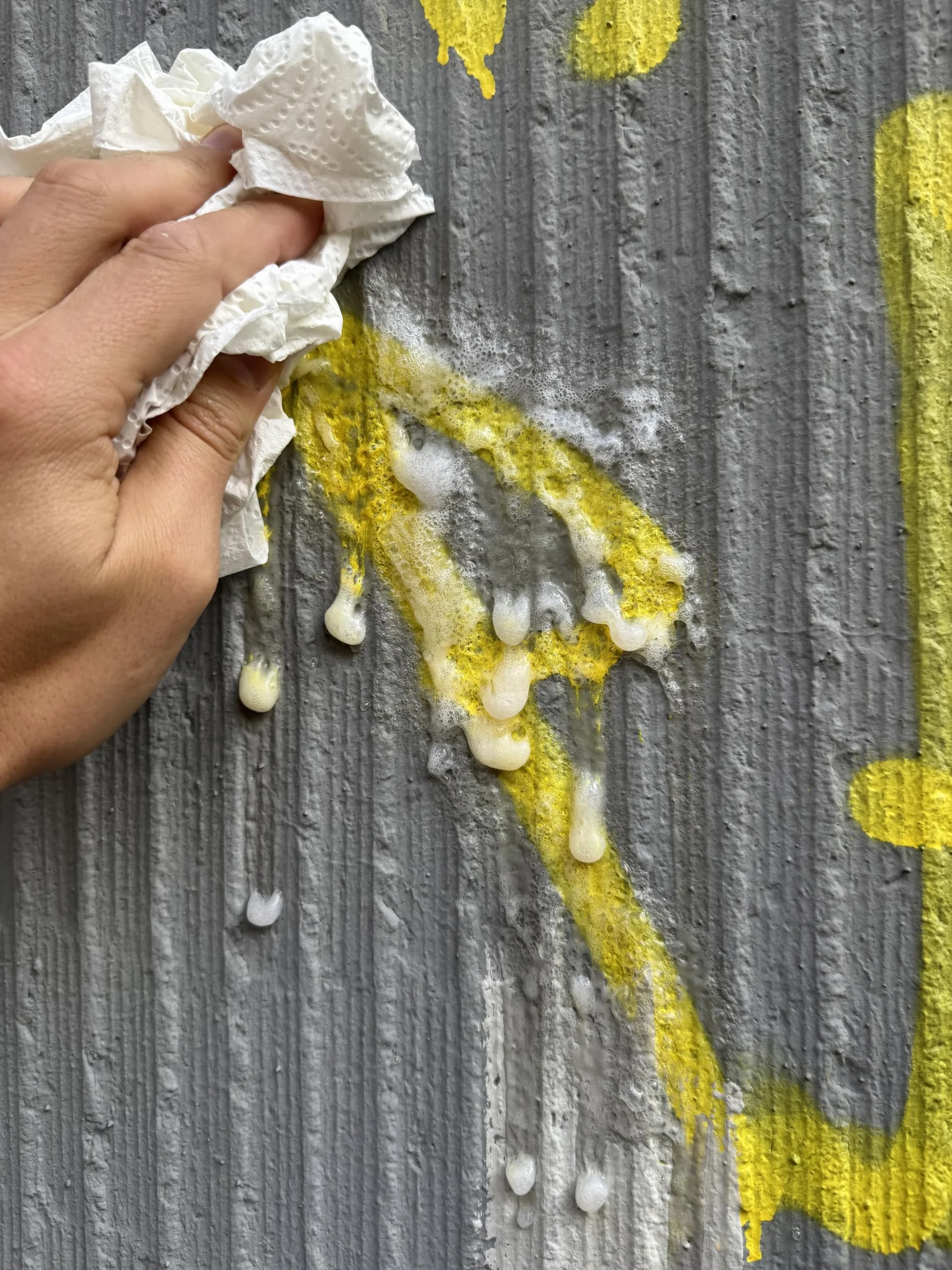 RVK Spray anti-graffiti professionnel 400 ml - Élimination des graffitis sur béton et pierre