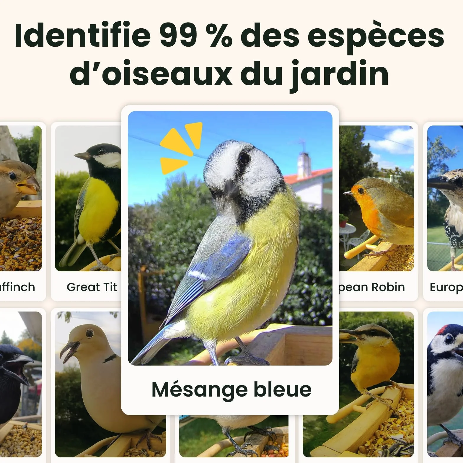 Mangeoire Oiseaux Caméra Birdfy Connectée en Bois avec Caméra Solaire IA 6000+ espèces 1080p