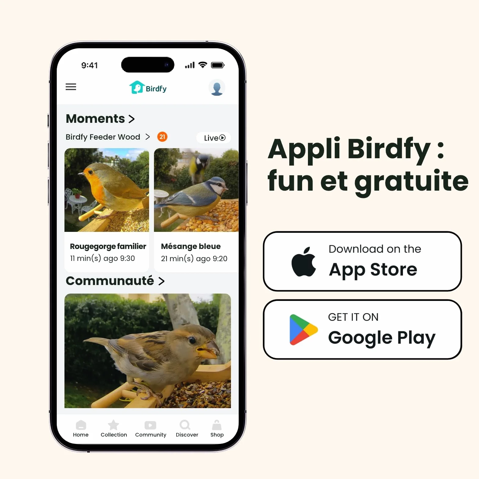 Mangeoire Oiseaux Caméra Birdfy Connectée en Bois avec Caméra Solaire IA 6000+ espèces 1080p