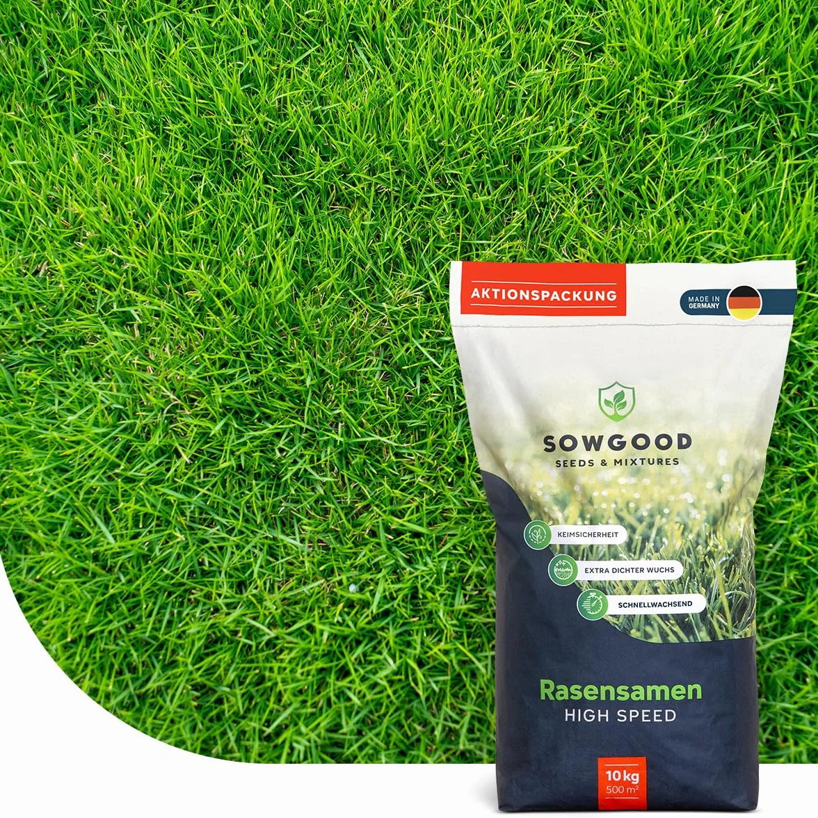 Semences Gazon Regarnissage 10 kg pour 500 m² - Germination rapide - Gazon dense et résistant