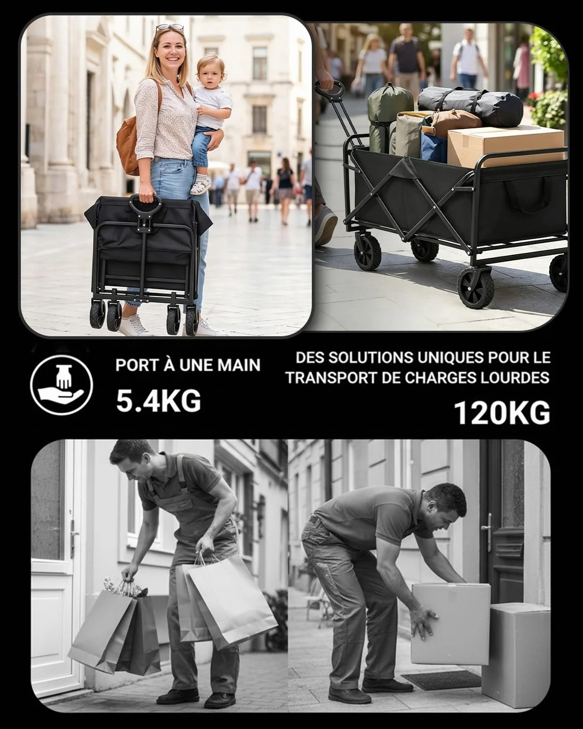Chariot de Transport Pliable 113L Charge 120 kg 4 Roues Tout Terrain Détachables Poignée Télescopique