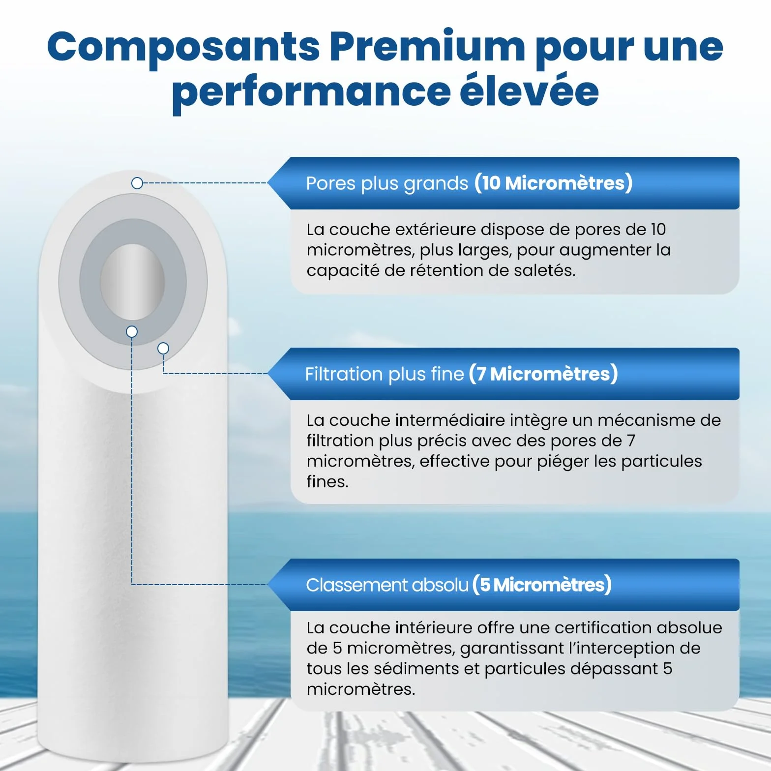 PUREPLUS Filtre à eau à sédiments 5 microns 10" x 2.5" Lot de 4 Cartouches Compatible Big Blue