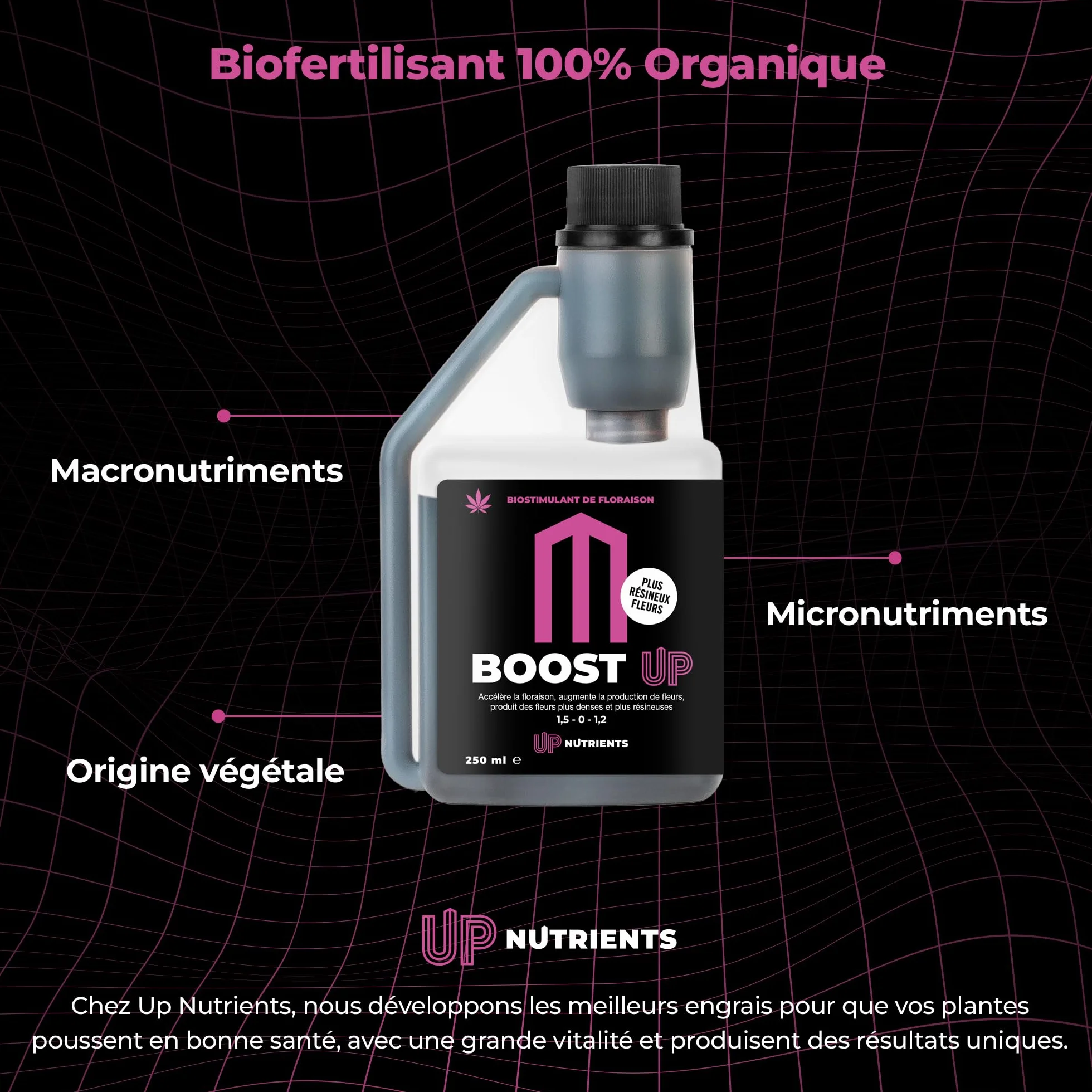 UP NUTRIENTS Trypack Engrais Grow, Bloom & Boost 250 ml | Engrais 100% biologique pour culture en intérieur & extérieur | Enracinement, Croissance et Floraison | Stimulant fleurs et plantes (250 ML)