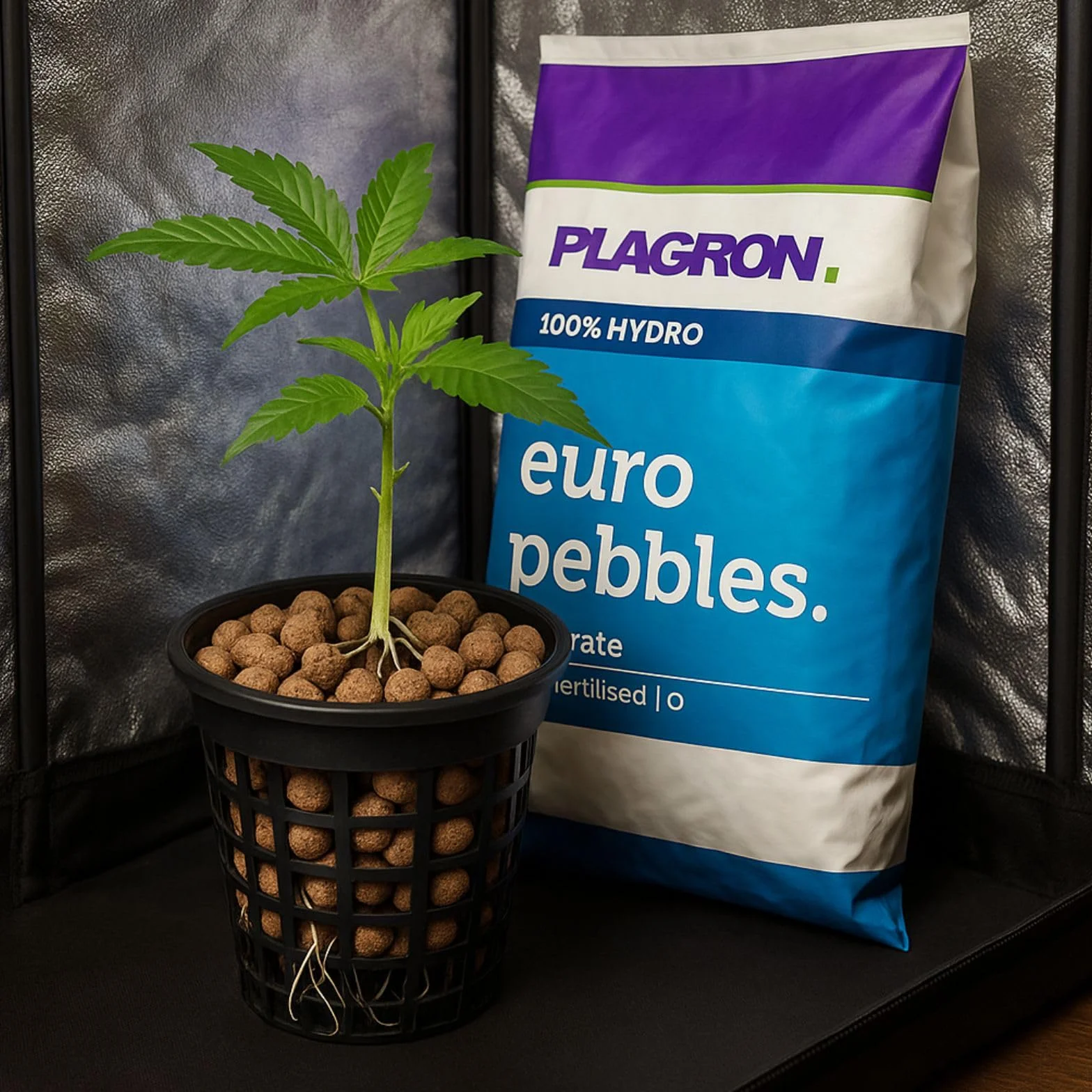 Plagron Euro Pebbles 45 L billes d'argile hydroponiques