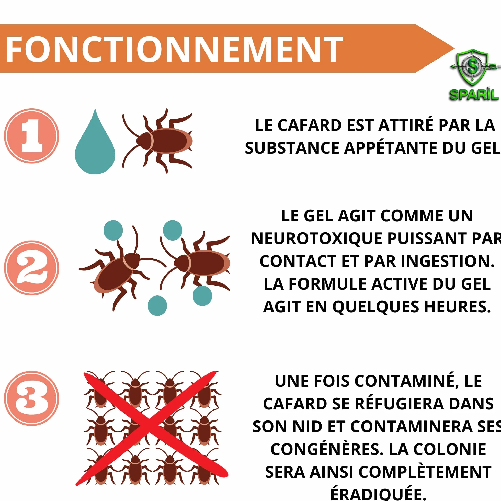 Gel Anti-Cafards Professionnel 30 g Insecticide SPARIL® – Éliminer Cafards et Blattes Protection Longue Durée Jusqu’à 2 Mois