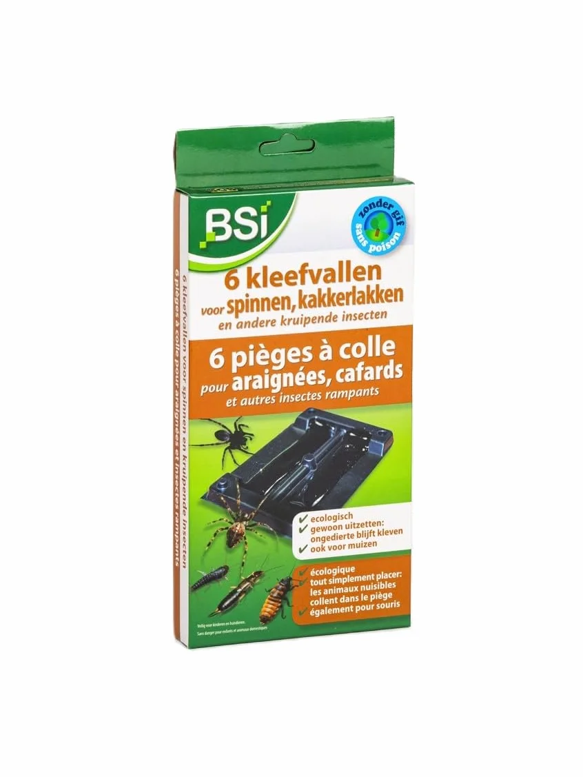 BSI - 6 Pieges - A Colle - Anti-Nuisibles - Pour Araignees - Cafards Et Autres Insectes Rampants, Noir