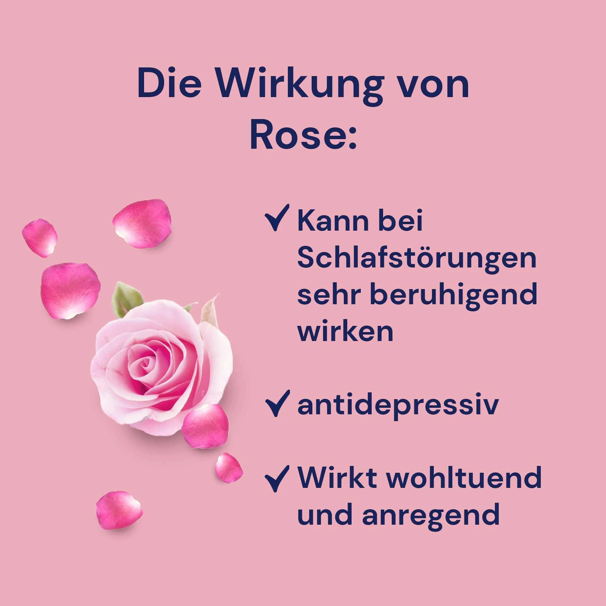 Spitzner Infusion pour sauna à la Rose floral-velouté 1000 ml – concentré naturel bien-être
