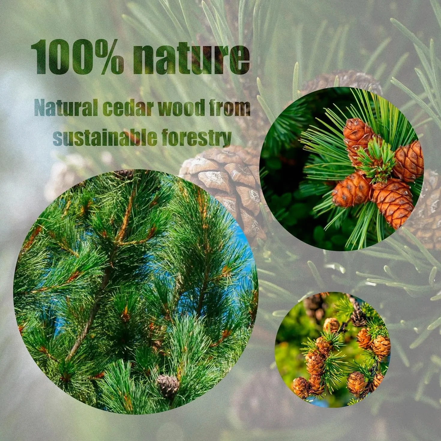 20 Anneaux + 12 Boules de bois de cèdre anti-mites vêtements | Cèdre de Californie | Papier de verre inclus | Protection 100% naturelle sans produit chimique | Parfum pour Armoires