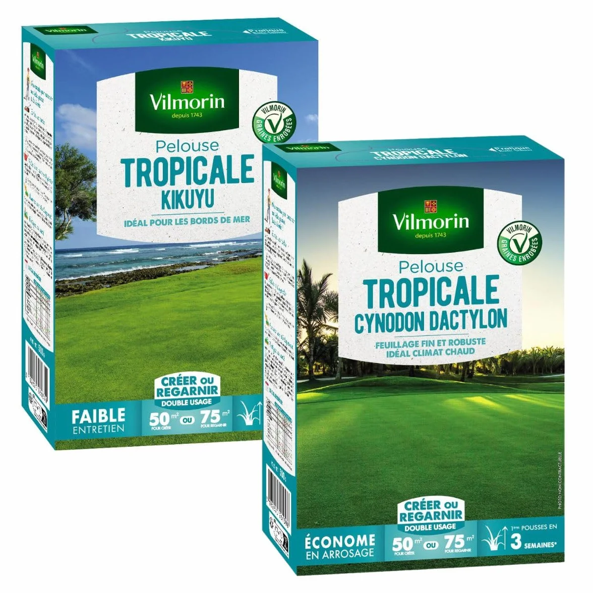 Pelouse Tropicale Kikuyu Cynodon Dactylon 500 g