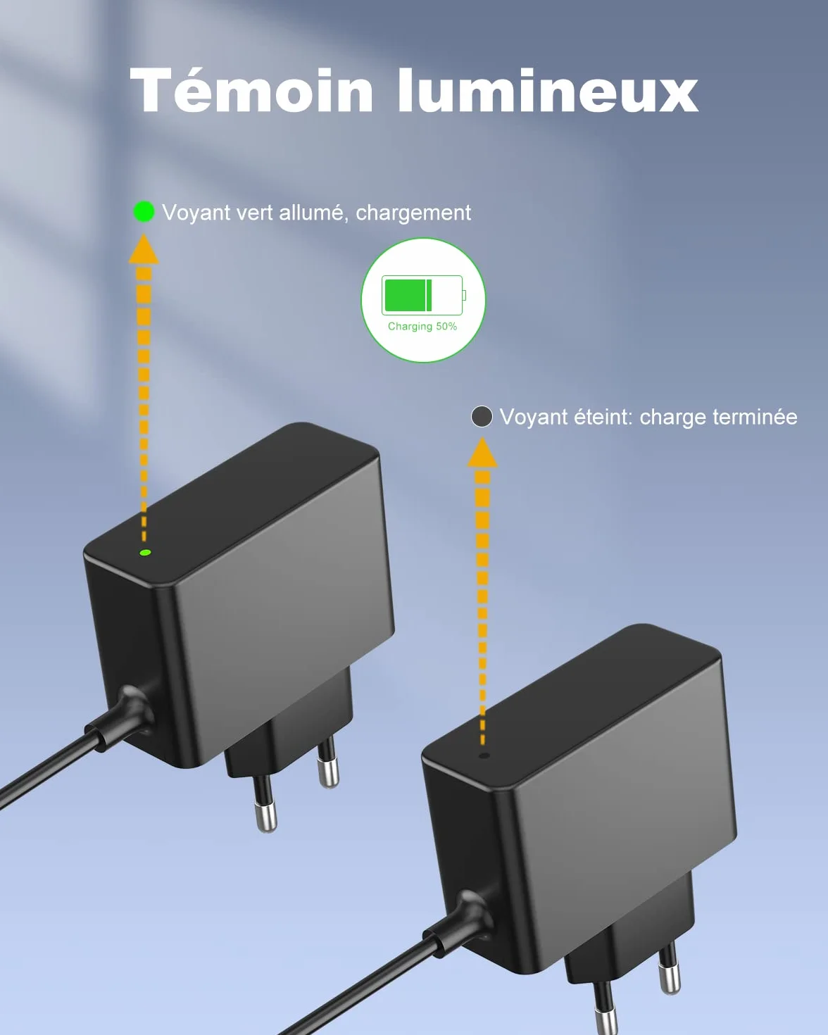Chargeur Compatible Karcher WV2 WV1 WV50 WV60 WV70 WV75 WV5 Adaptateur