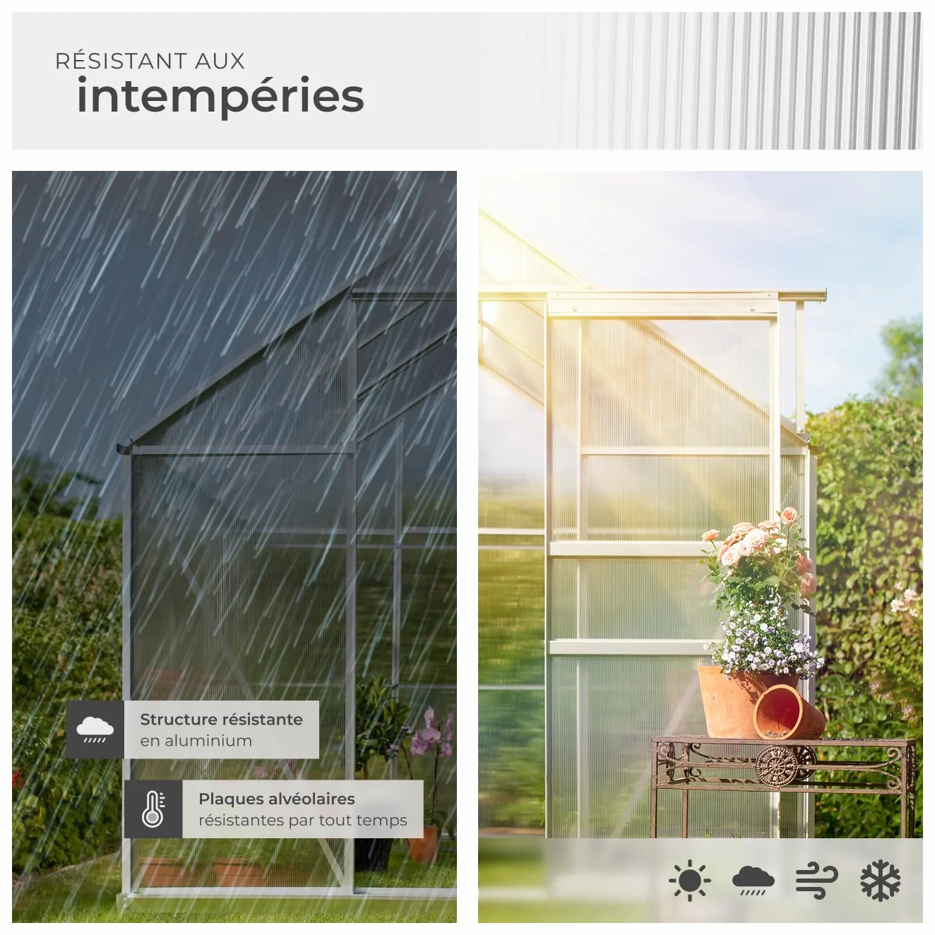 tectake® Serre de Jardin avec Base en Aluminium Polycarbonate pour Potager Exterieur Serre de Jardin pour Hivernage Tente Abri pour Les Plantes Serre à semis Jardinage - 190x185x195 cm