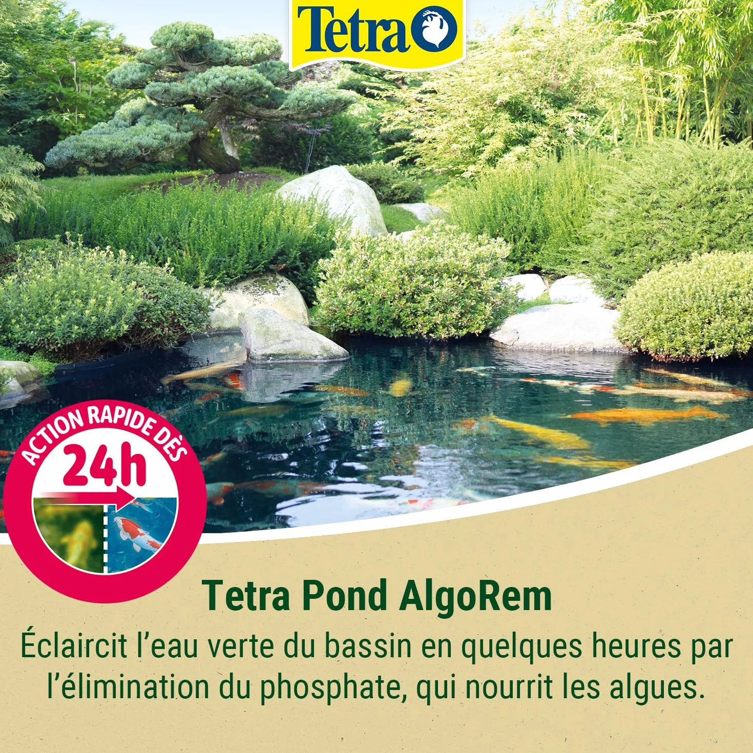 Tetra Pond AlgoRem 1 L Traitement Eau Bassin Jardin Elimine Eau Verte Algues