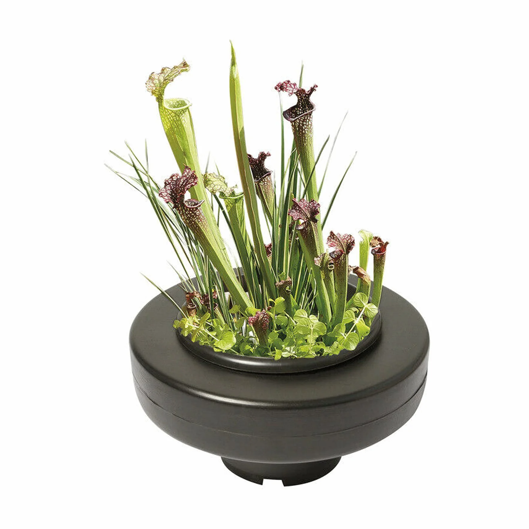 Panier flottant pour plante de bassin diamètre 30cm