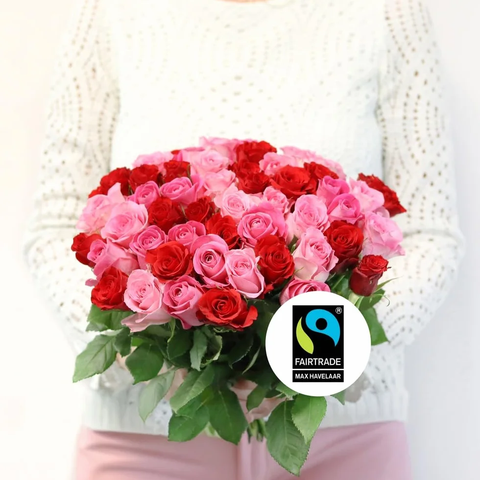 Brassée de Roses Max Havelaar 50 Tiges Grand Bouquet Fleurs Fraîches Commerce Équitable