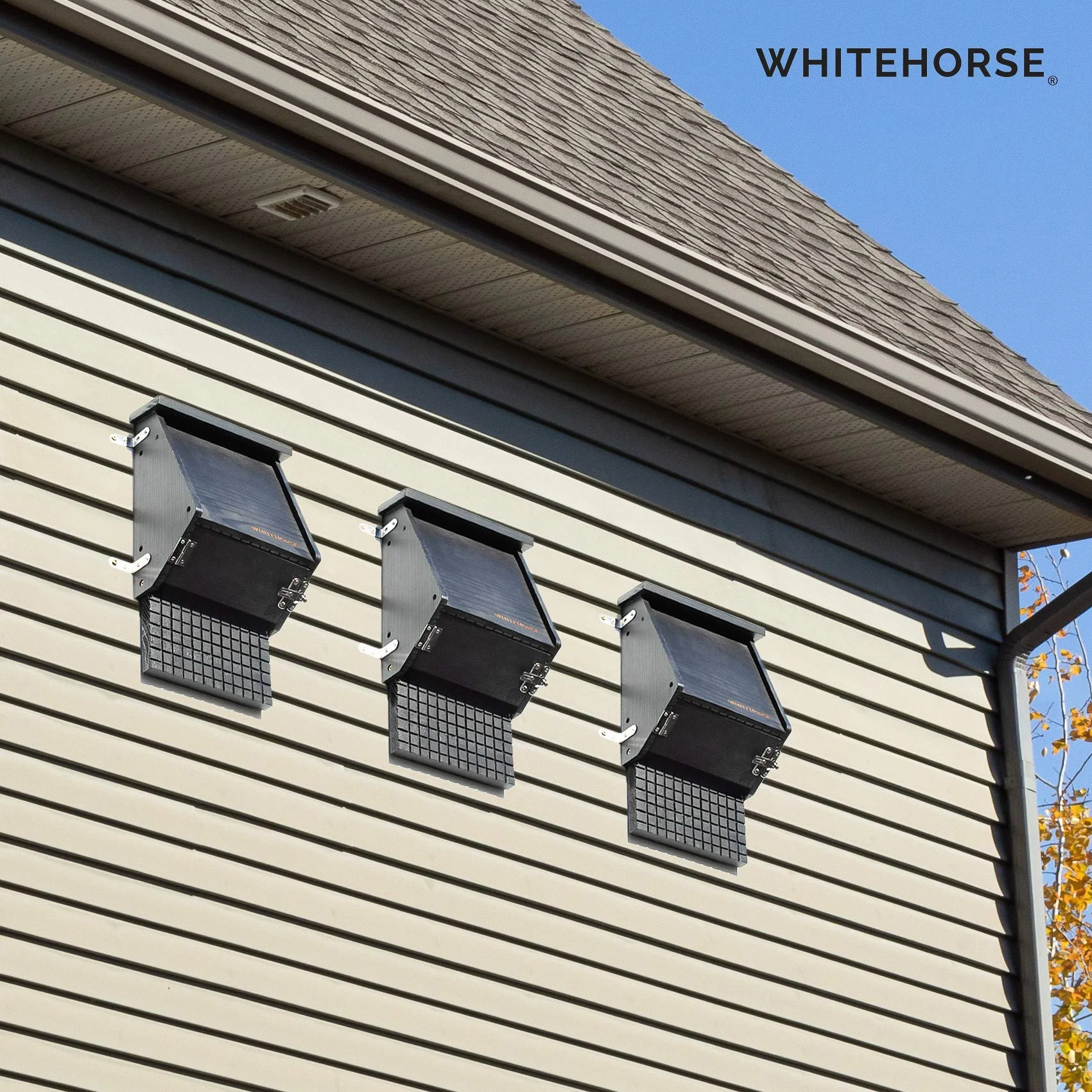 WHITEHORSE Maison de Chauves-Souris en cèdre 4 Compartiments Noir