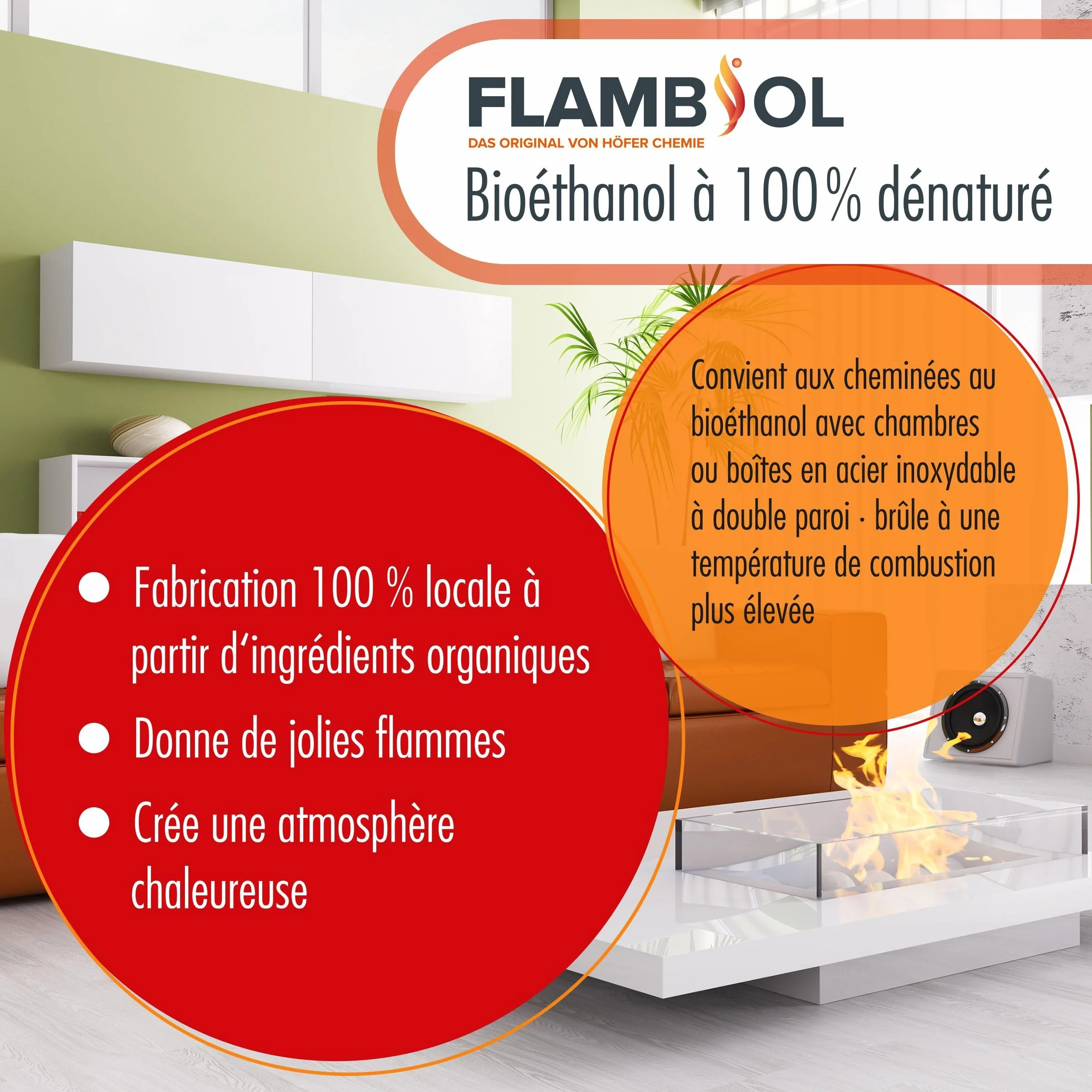 Höfer Chemie FLAMBIOL® Bioéthanol 6 x 1 L Ultra Pur 100% Combustible Écologique pour Cheminées