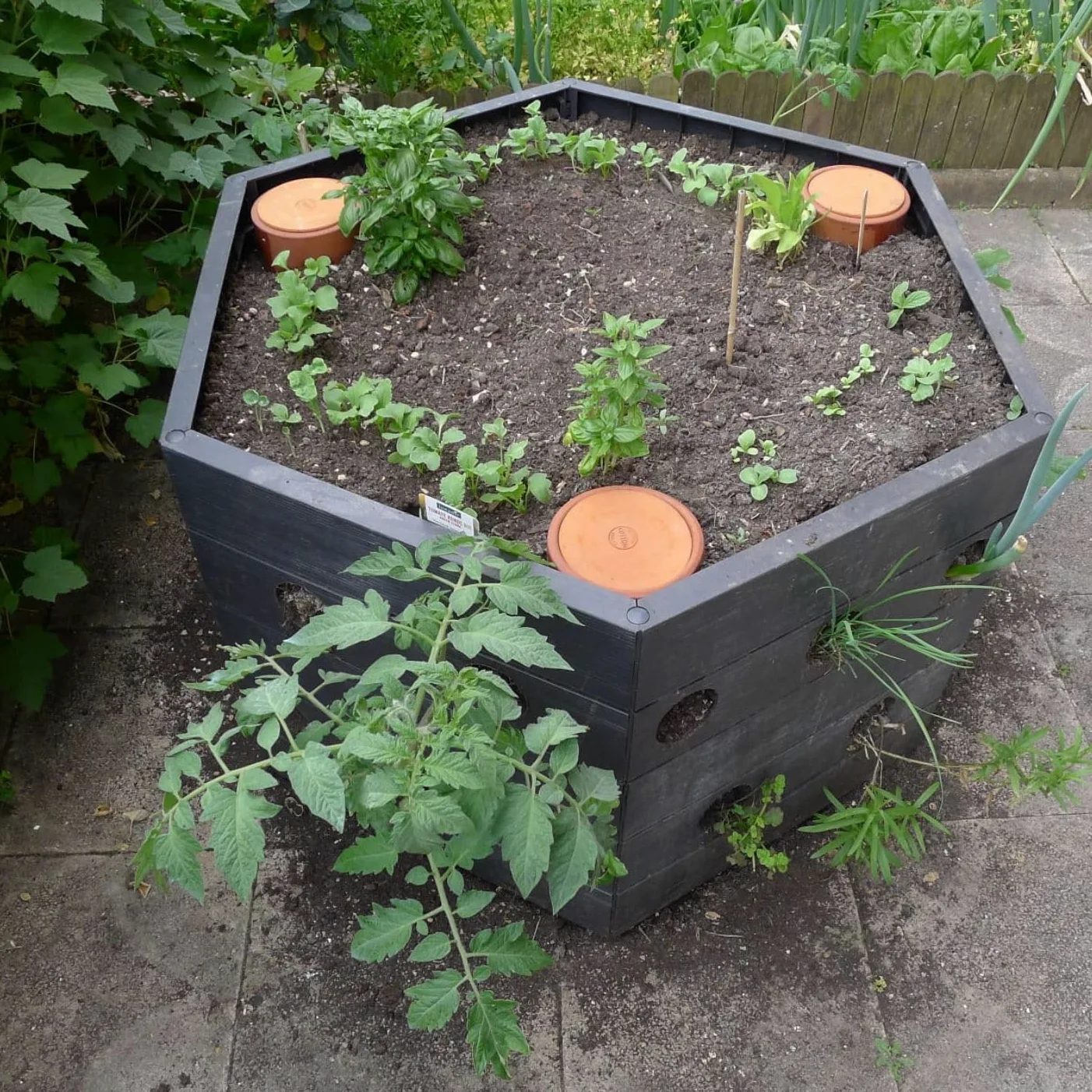 Duo Ollas Tube 2L en Terre Cuite – Fabrication Française – Arrosage Autonome Écologique pour Potager, Jardin et Plantes – Irrigation Naturelle Jusqu’à 5 Jours