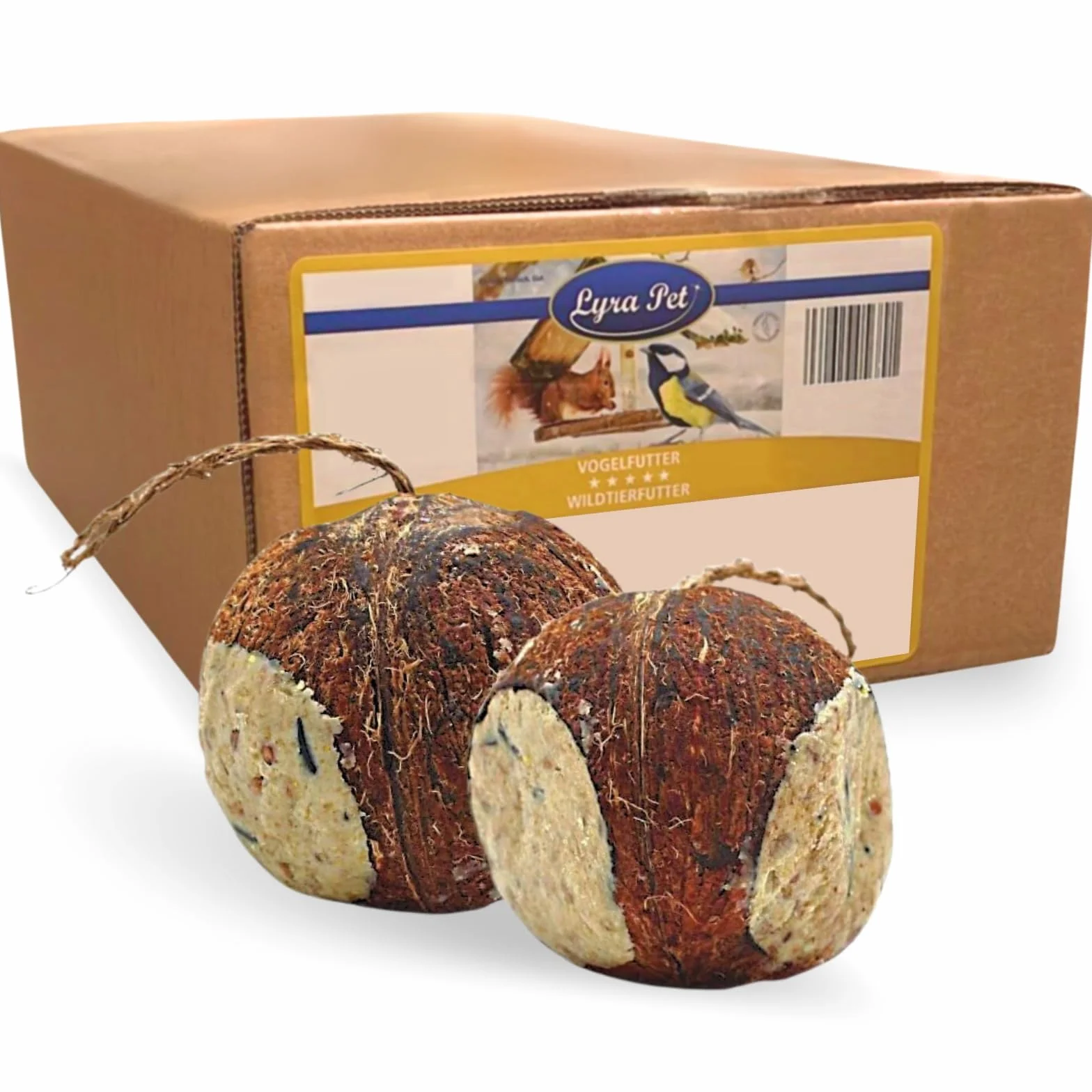 Lyra Pet® 2 x 4 Noix de Coco entières remplies de 3 Trous | Nourriture Riche en Graisse pour Oiseaux Sauvages | Noix de Coco remplie de substances nutritives | Nourriture grasse pour Toute l'année