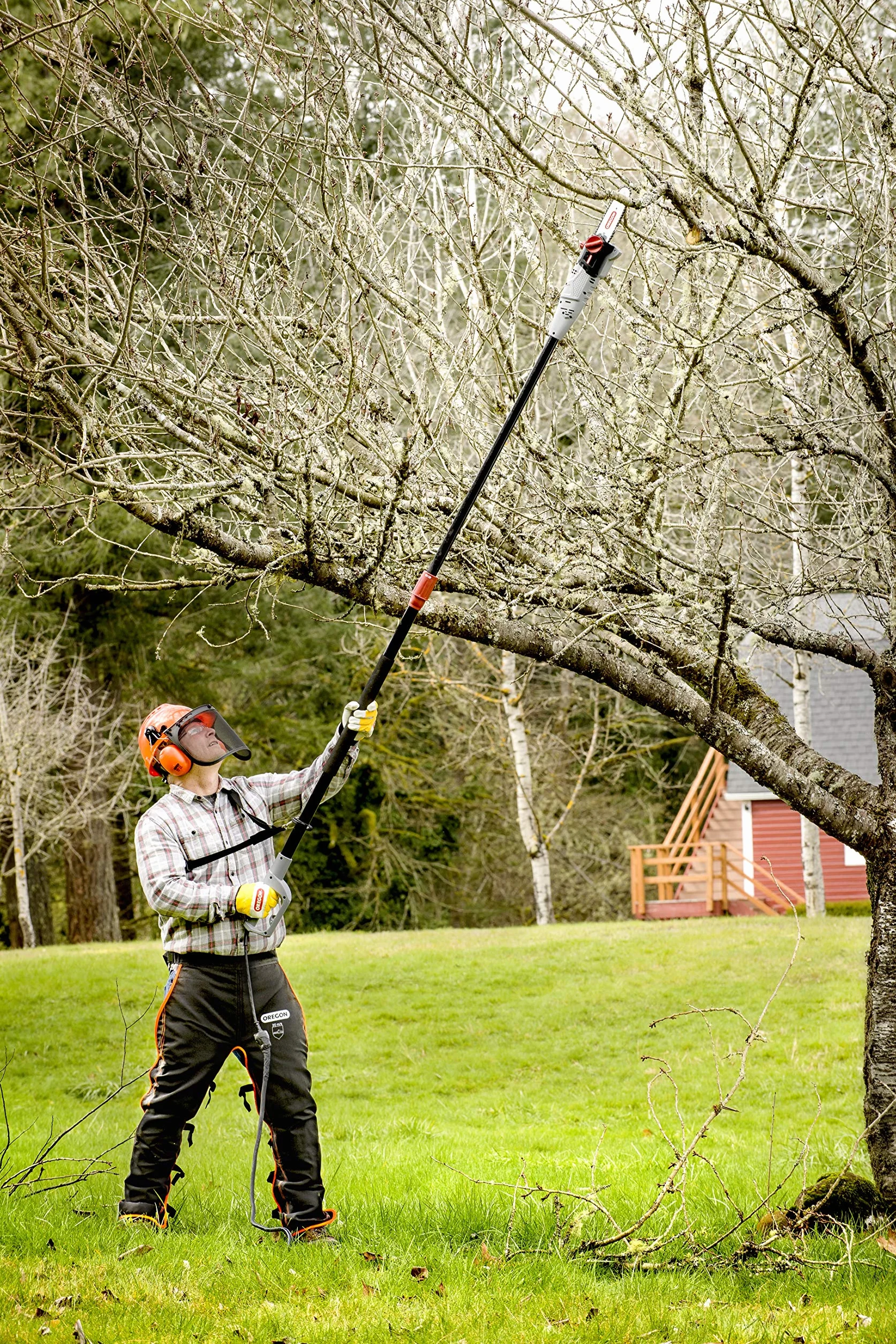 OREGON PS750 - Élagueuse sur Perche Télescopique 230V, Électrique et Filaire, Longue Portée