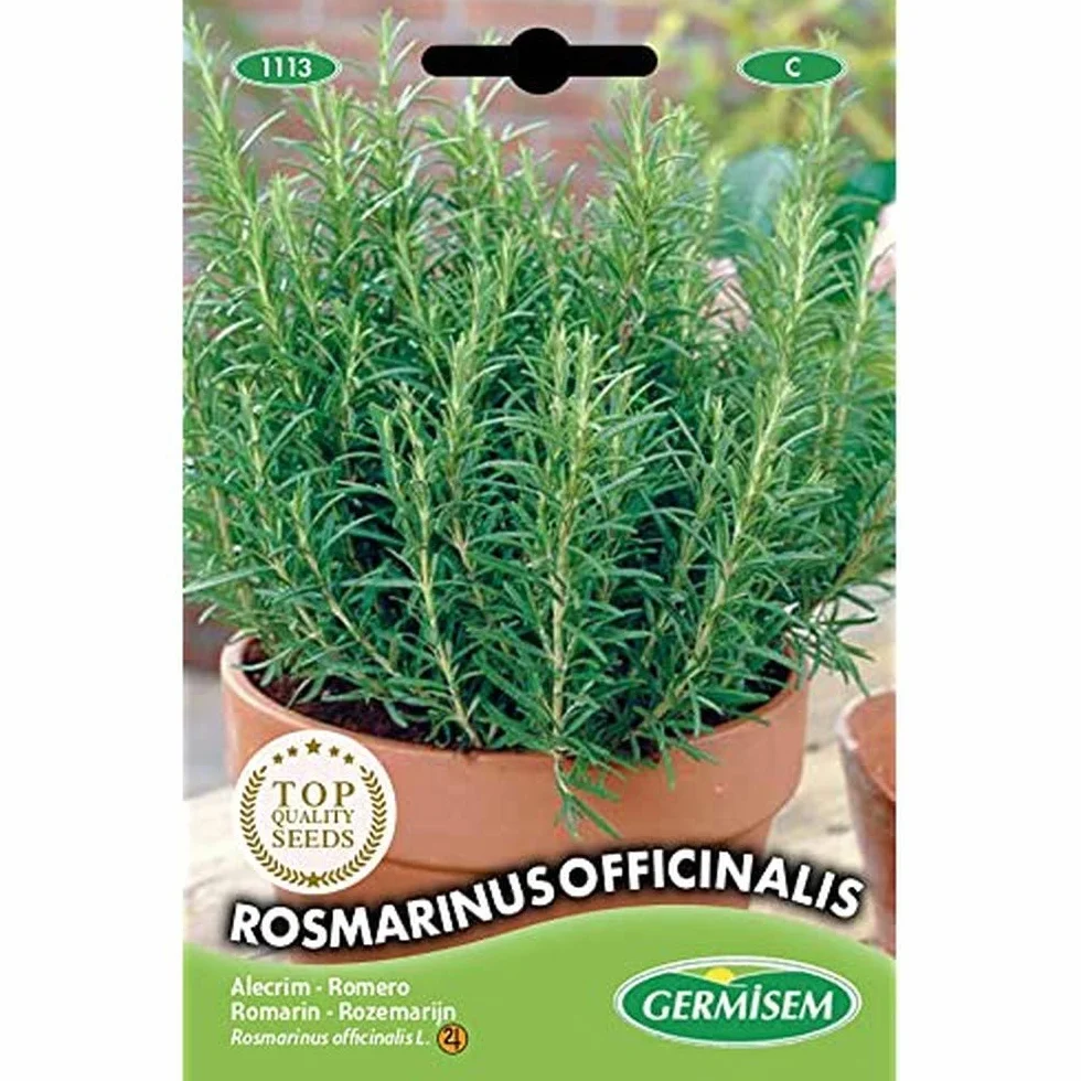 Germisem graines Romarin ROSMARINUS OFFICINALIS