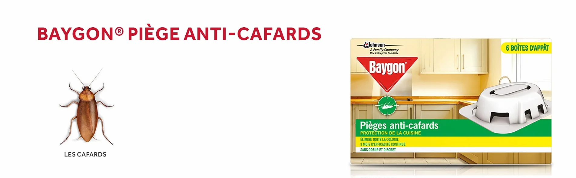 Baygon Pièges Anti-Cafards 6 Boîtes Protection Cuisine 3 Mois Efficacité Continue Sans Odeur