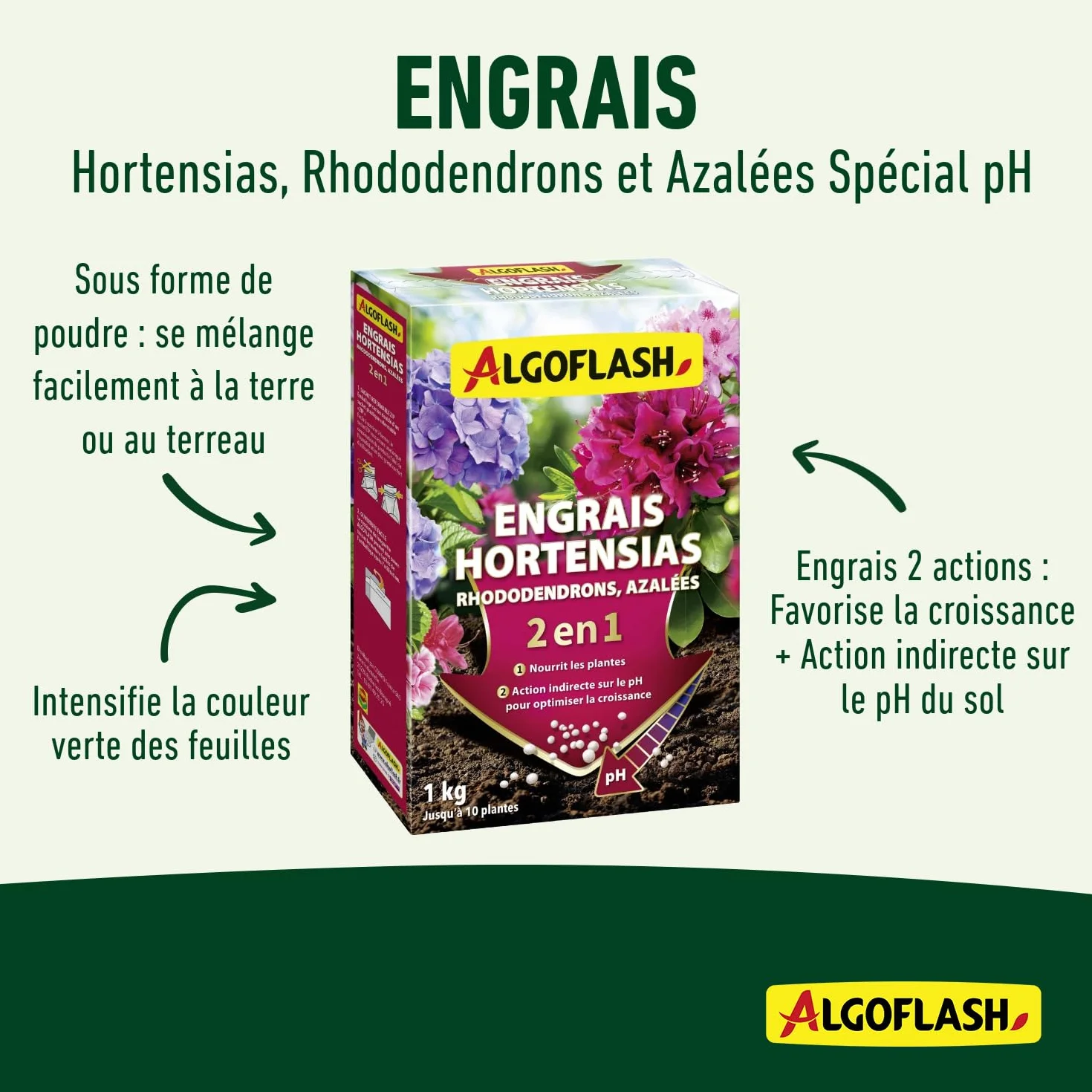 ALGOFLASH Engrais 2 en 1 pour Hortensias, Rhododendrons, Azalées Spécial pH, jusqu'à 10 Plantes, 1 kg, HORTOPH1N