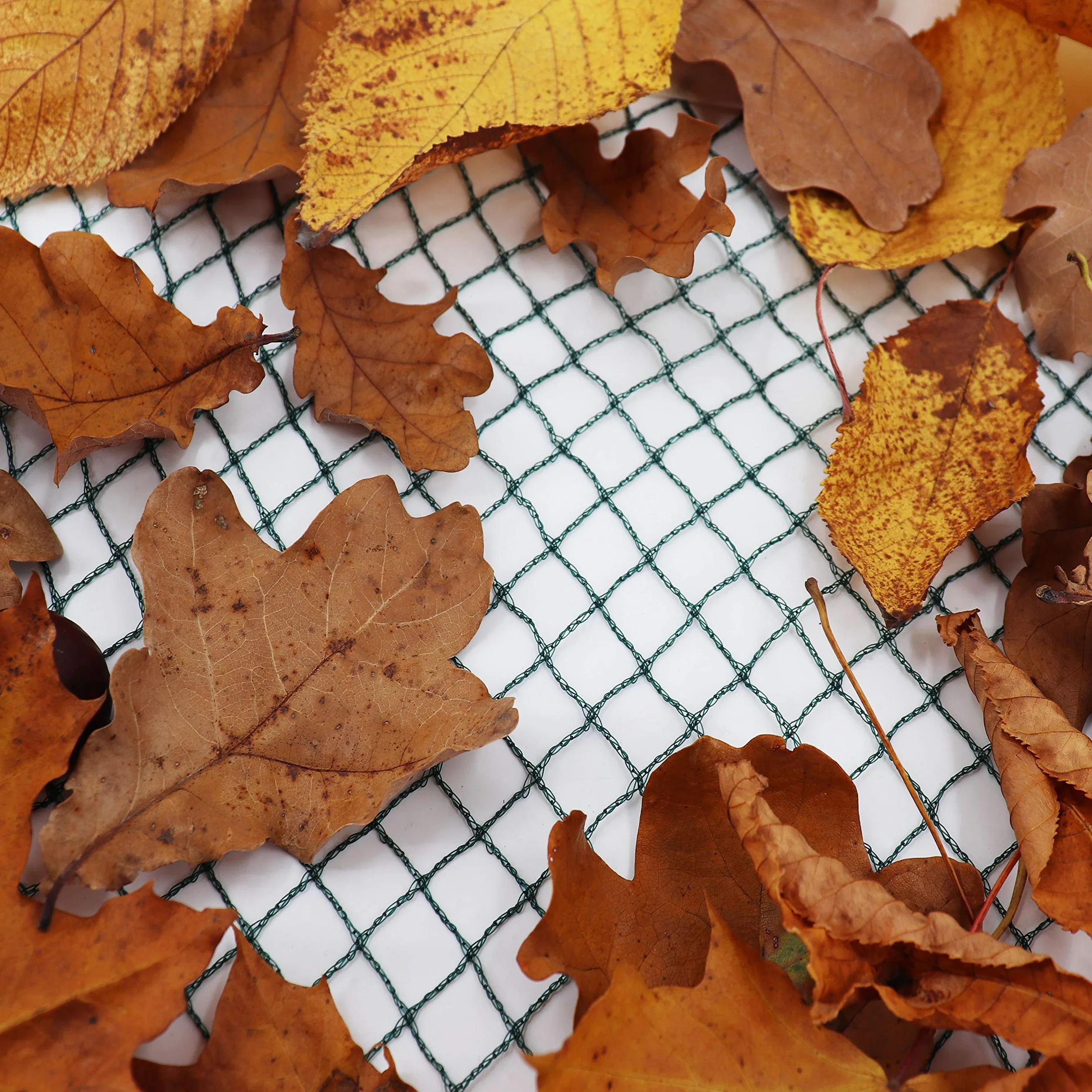 Aquagart Filet de Protection pour Étang Anti-Feuilles Anti-Oiseaux 4m x 16m Vert