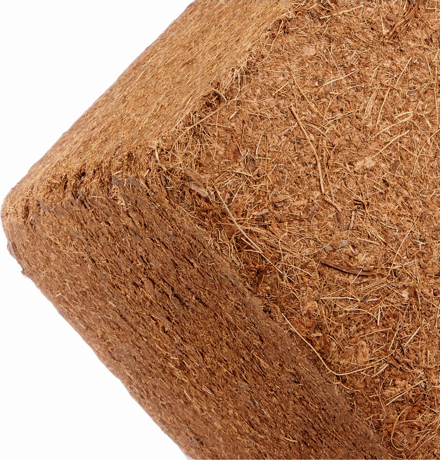 Trixie Terreau de Fibre de Coco pour Terrarium – Compressé, Donne 60 l – pH 5,0–6,0 – Stérilisé à la Chaleur, sans moisissures, sans Engrais – Durable