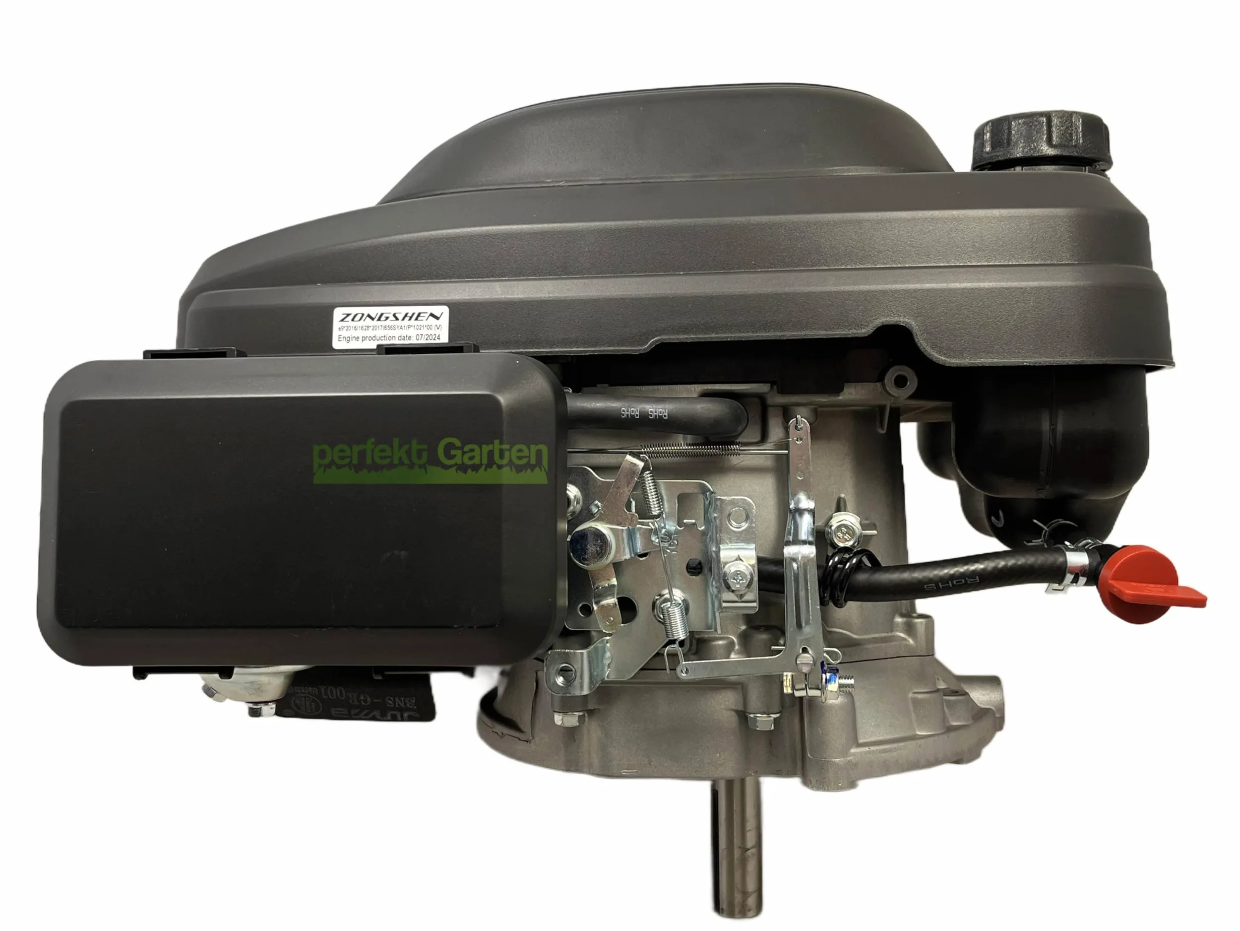 6,5 PS Zongshen XP200A 196cc Démarreur tondeuse à gazon Moteur 22,2 mm/80 mm + huile