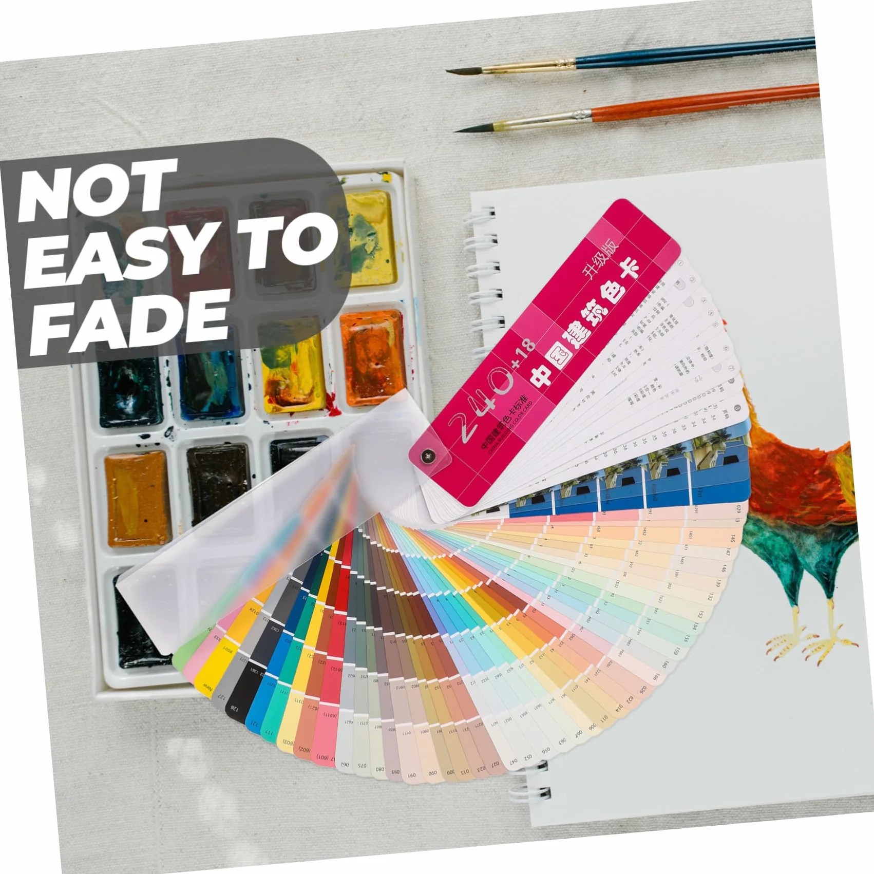 Nuancier Papier Plastique 258 Couleurs Cartes de Couleur Contraste Peinture Architecturale