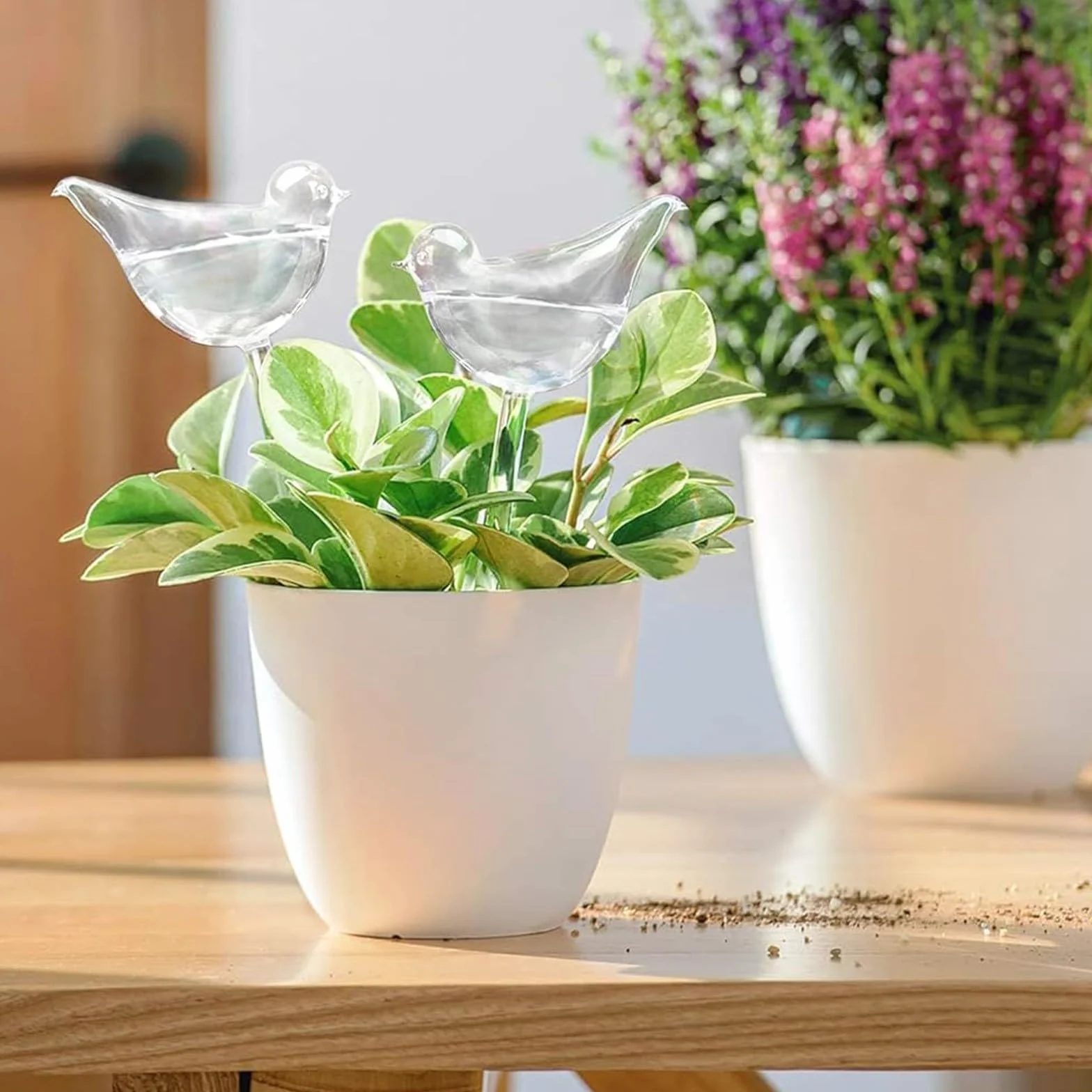 Lot de 8 Goutteurs d'eau pour Plantes, Arroseur pour plantes en forme d'oiseau transparent, Globes d'arrosage automatique en plastique, Ampoules à arrosage automatique pour jardin intérieur extérieur