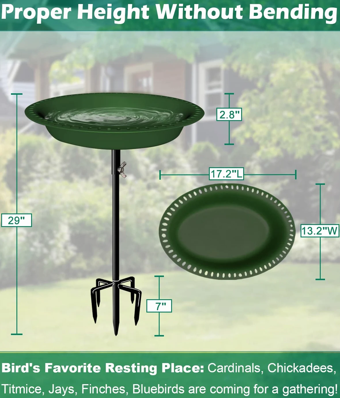 Bain d'oiseaux amovible de 73,6 cm de hauteur avec support en métal, bol ovale pour oiseaux et mangeoire à oiseaux avec base à 5 dents pour jardin extérieur, vert