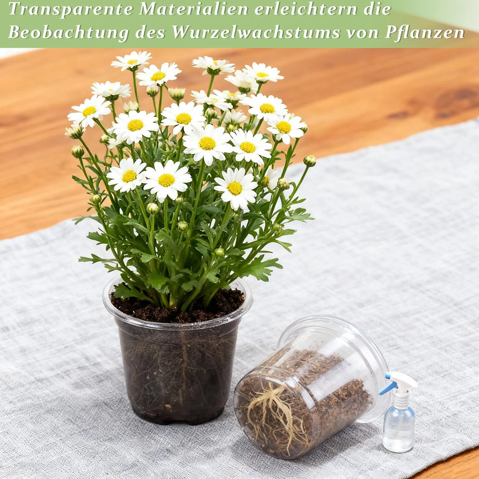 Pot de Fleurs, 24 Pièces Pot Transparent Plante avec Couvercles, 9 cm de Diamètre, Pots de Culture en Plastique, Pots de Fleurs avec 24 Étiquettes Plates, pour Plantes Grasses, Semis