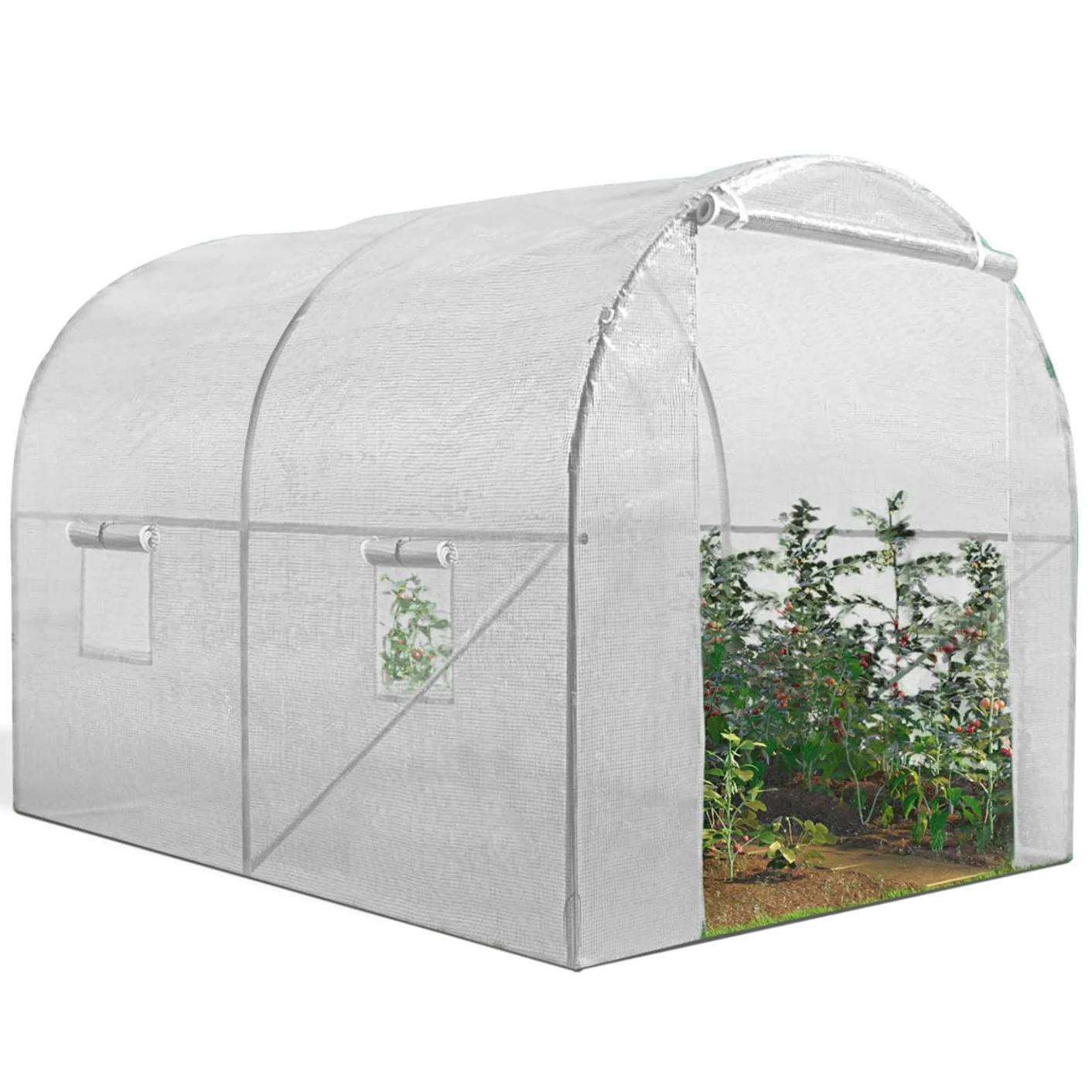 IDMarket - Serre Tunnel de Jardin 6M² Blanche Gamme maraîchère Roma 2x3M