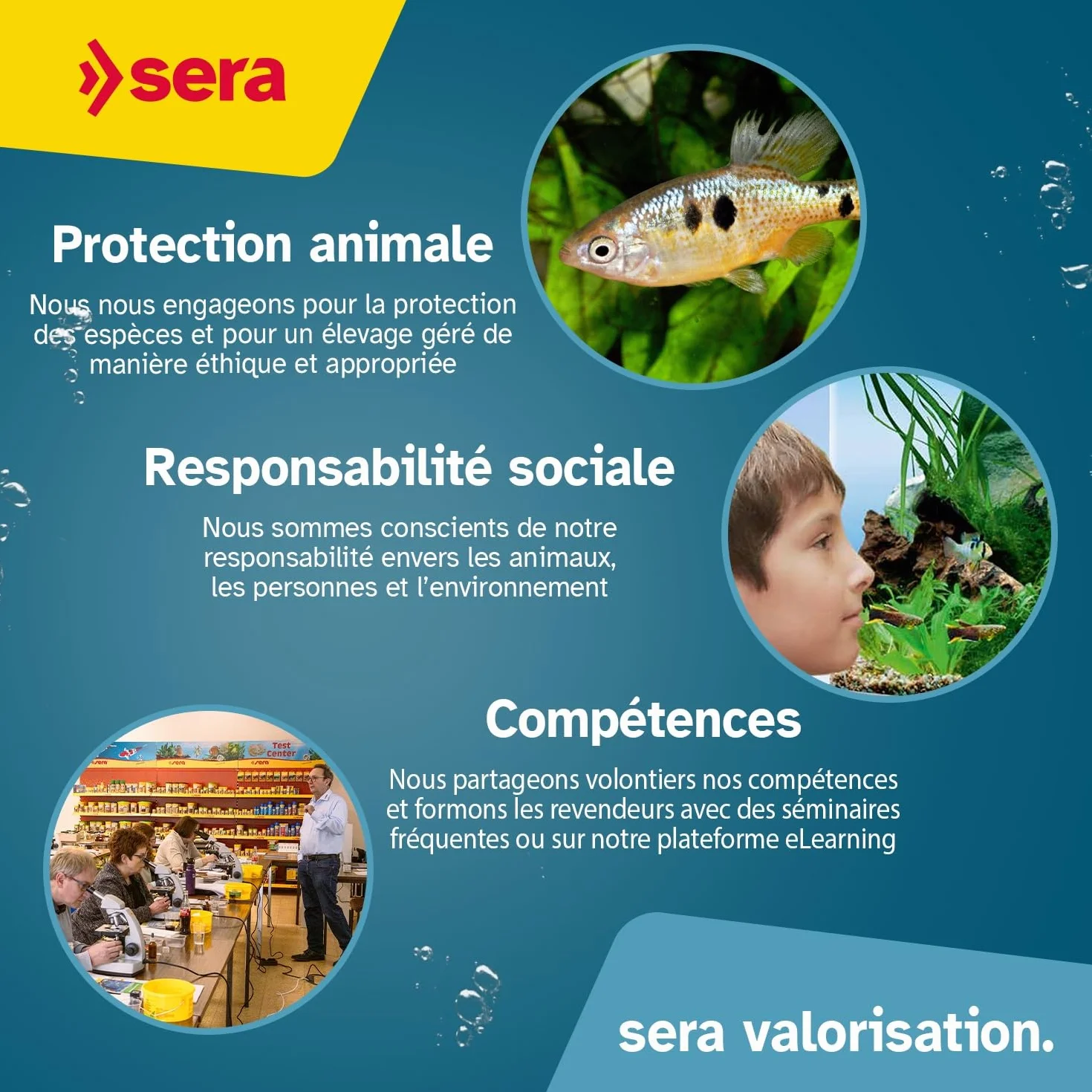 SERA KH Test 15ml | pour Aquarium et Bassin | Mesure de la Dureté Carbonatée pour Stabiliser Le pH | Kit d’Analyse avec Éprouvette, Seringue et Fiche d’Évaluation | Précision Jusqu’à 390 °dKH
