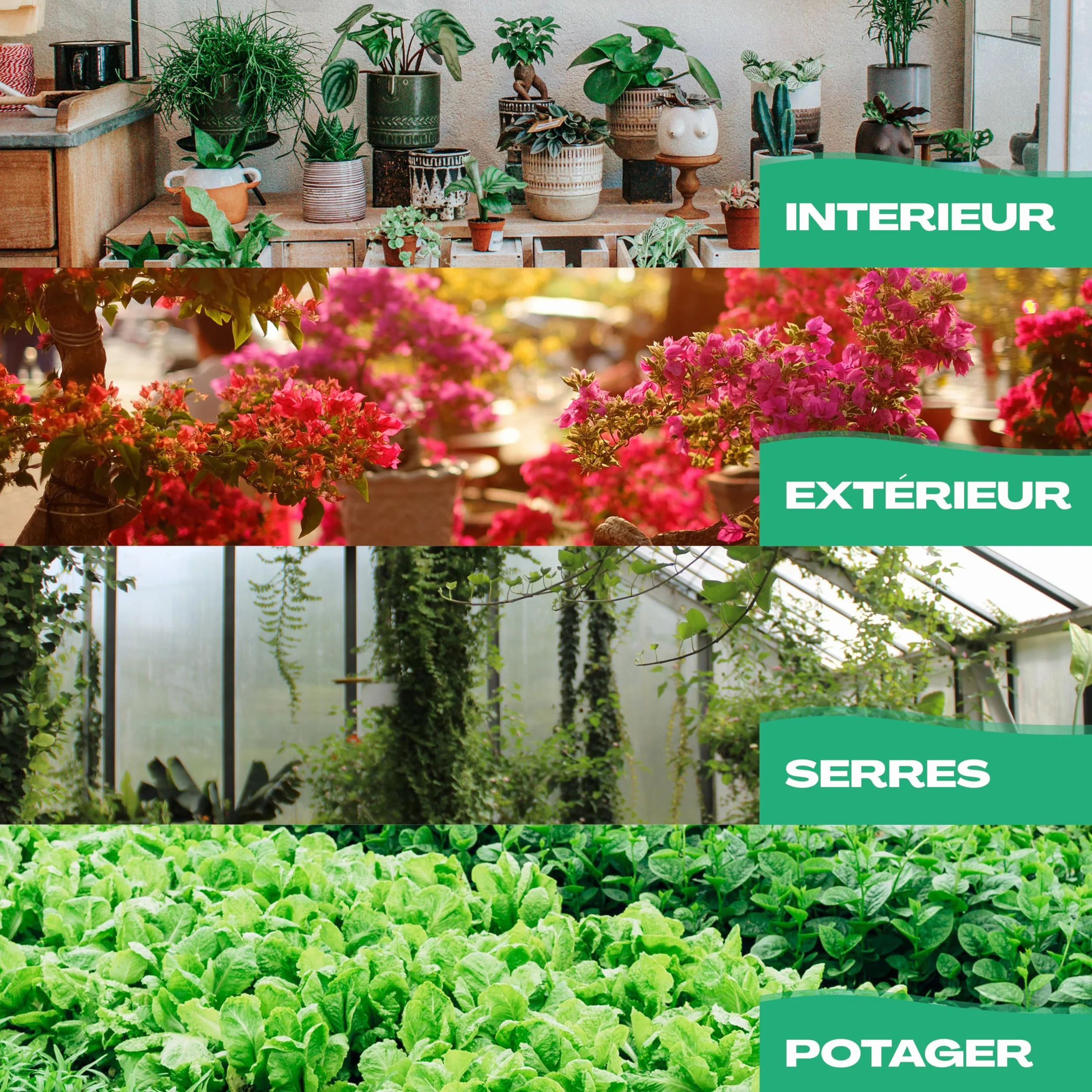 Netrox Cône d'irrigation en argile – 8x 360ml – idéal en vacances, jusqu'à 14 jours – arrosage automatique pour plantes d'intérieur, jardin et balcon – Irrigation, système d'irrigation, distributeur