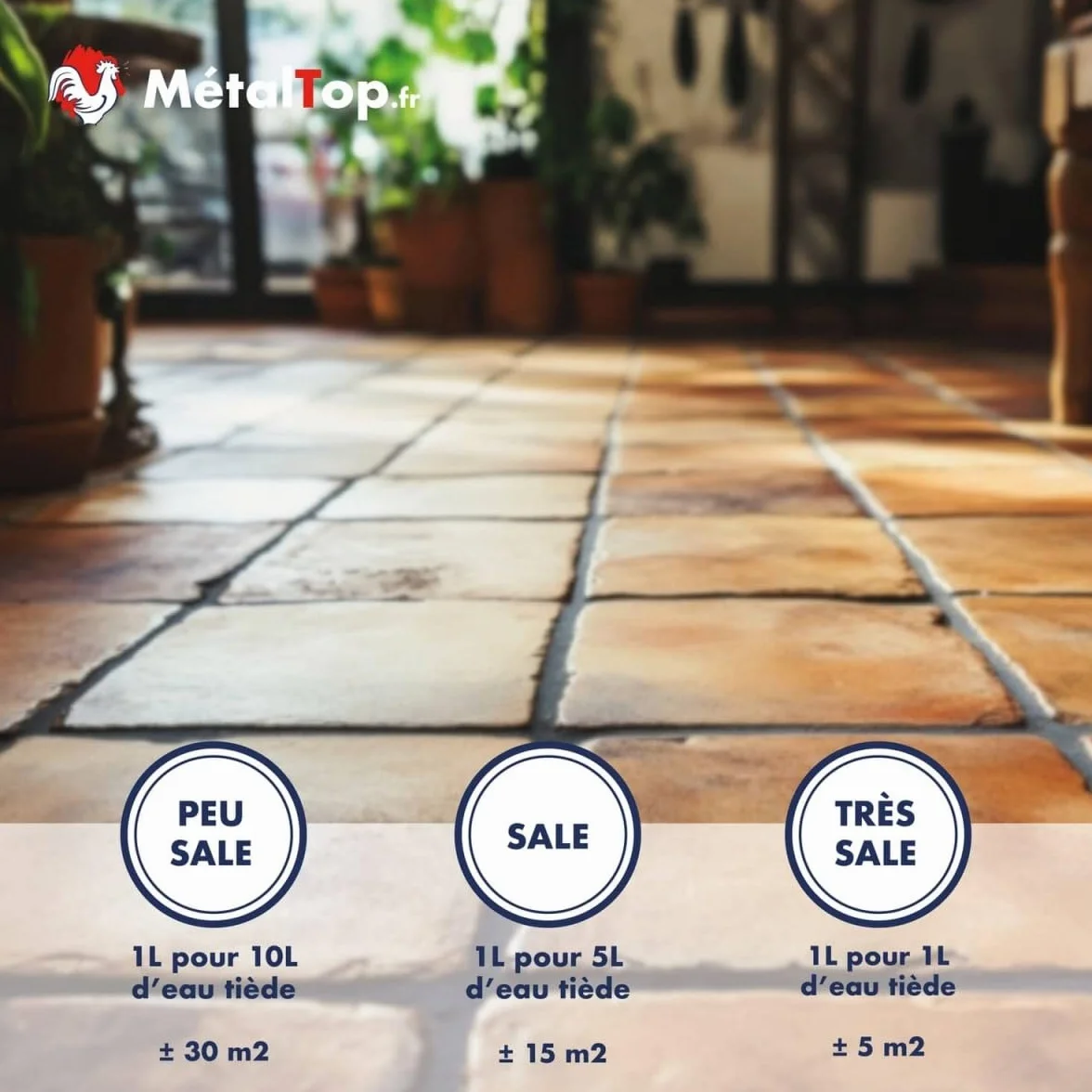 Decapant Tomette 1 L Rénovateur pour sols anciens