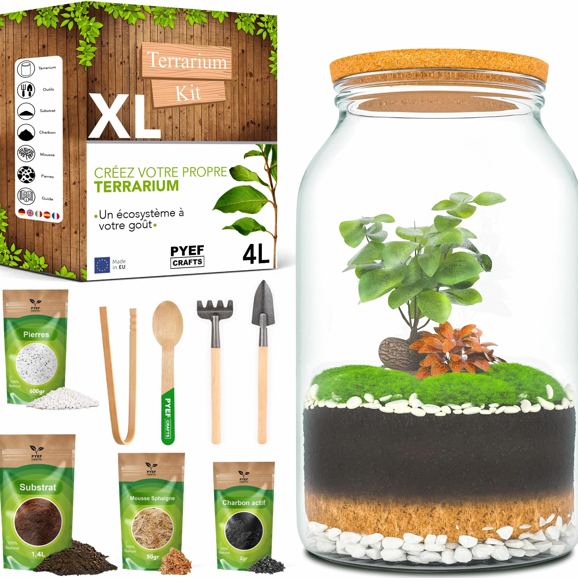 Terrarium Verre XL Kit DIY 4L Jardin en Bouteille