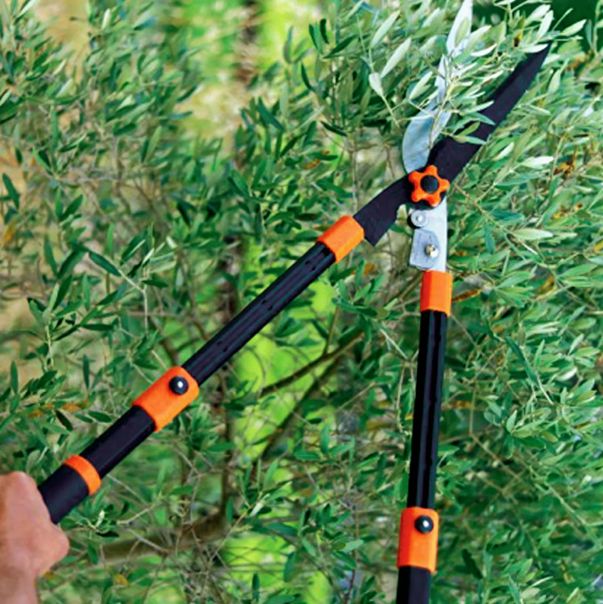 Pack outils : Sécateur à crémaillère + Coupe-branches à crémaillère + Taille-haies