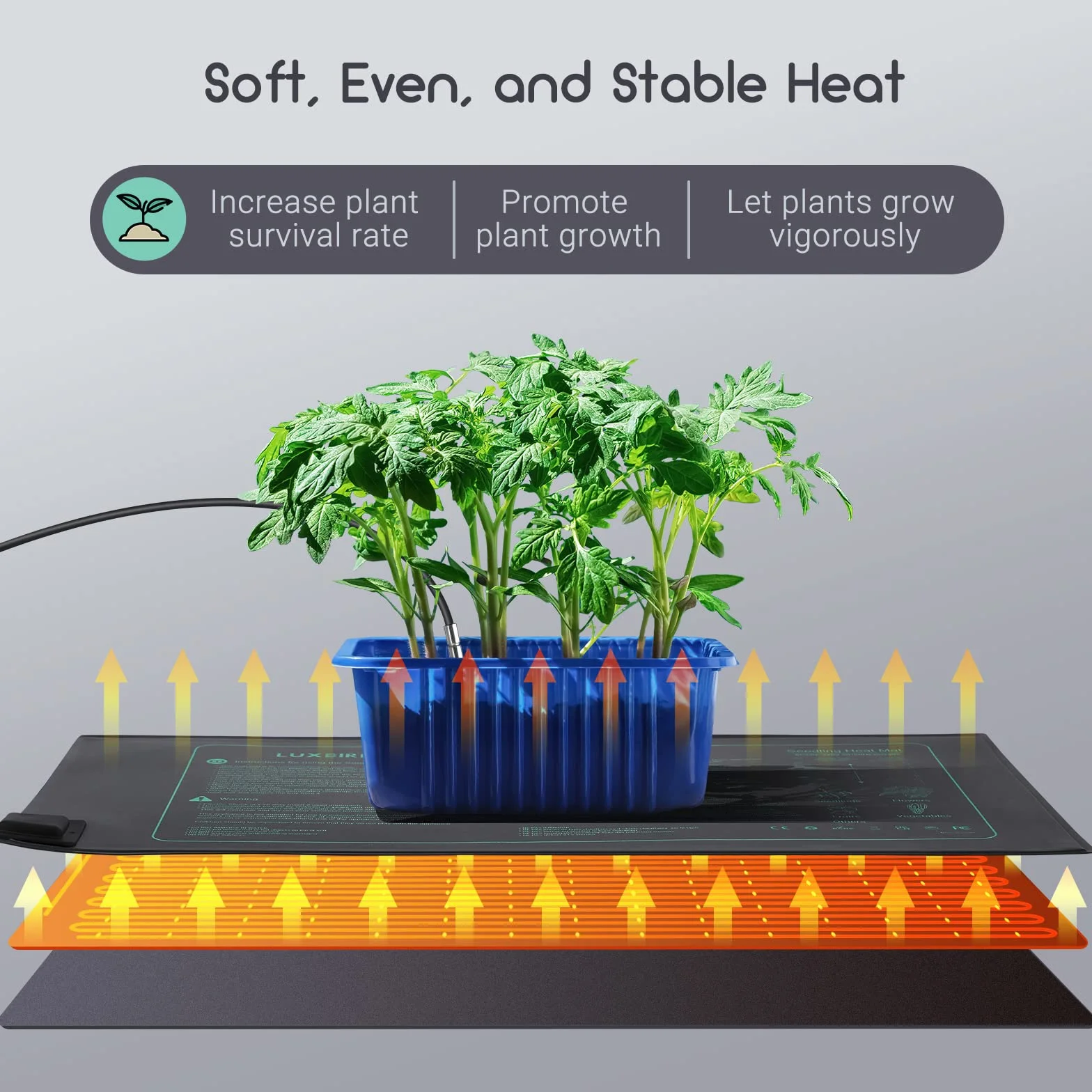Luxbird Tapis Chauffants pour Semis avec Thermostat Numérique 21W - Chauffage Uniforme pour Germination, Serre et Plantes d’Intérieur